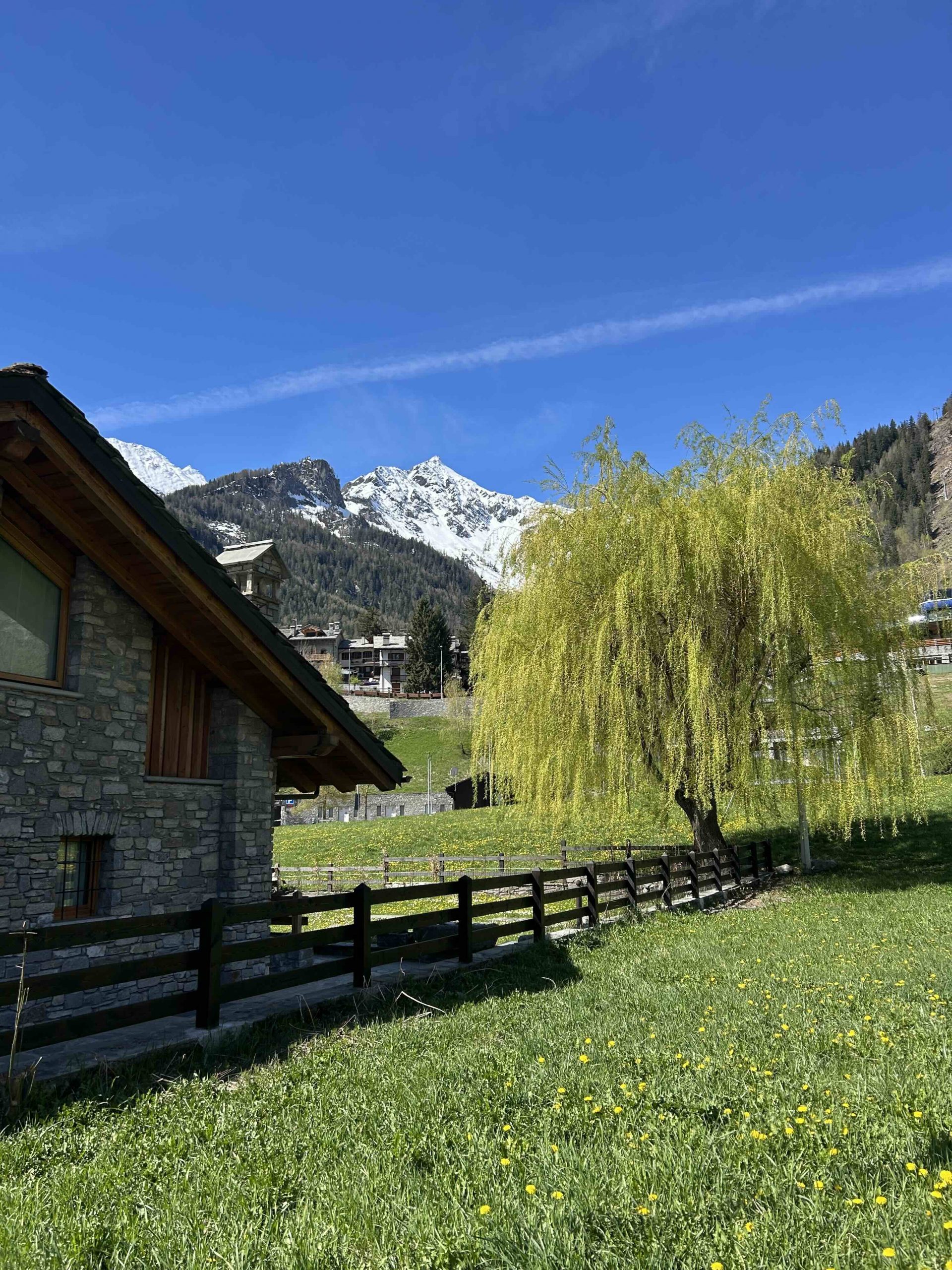 Venerdì 16 maggio 2025