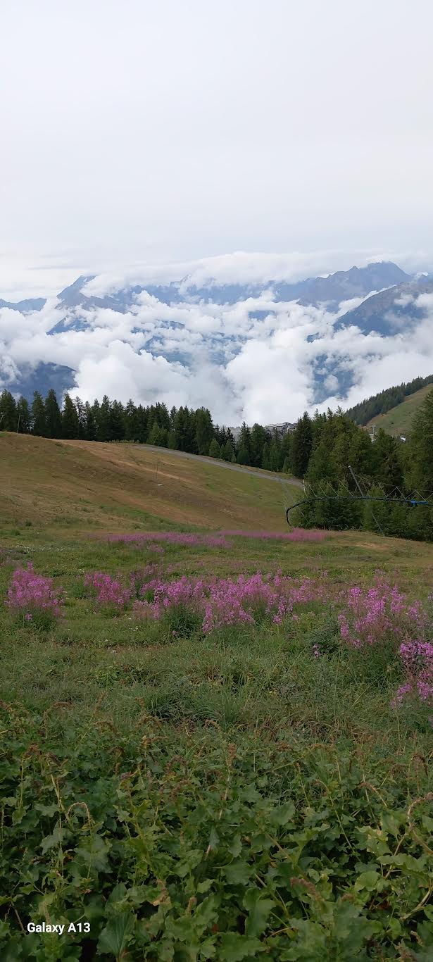Martedì 23 settembre 2025