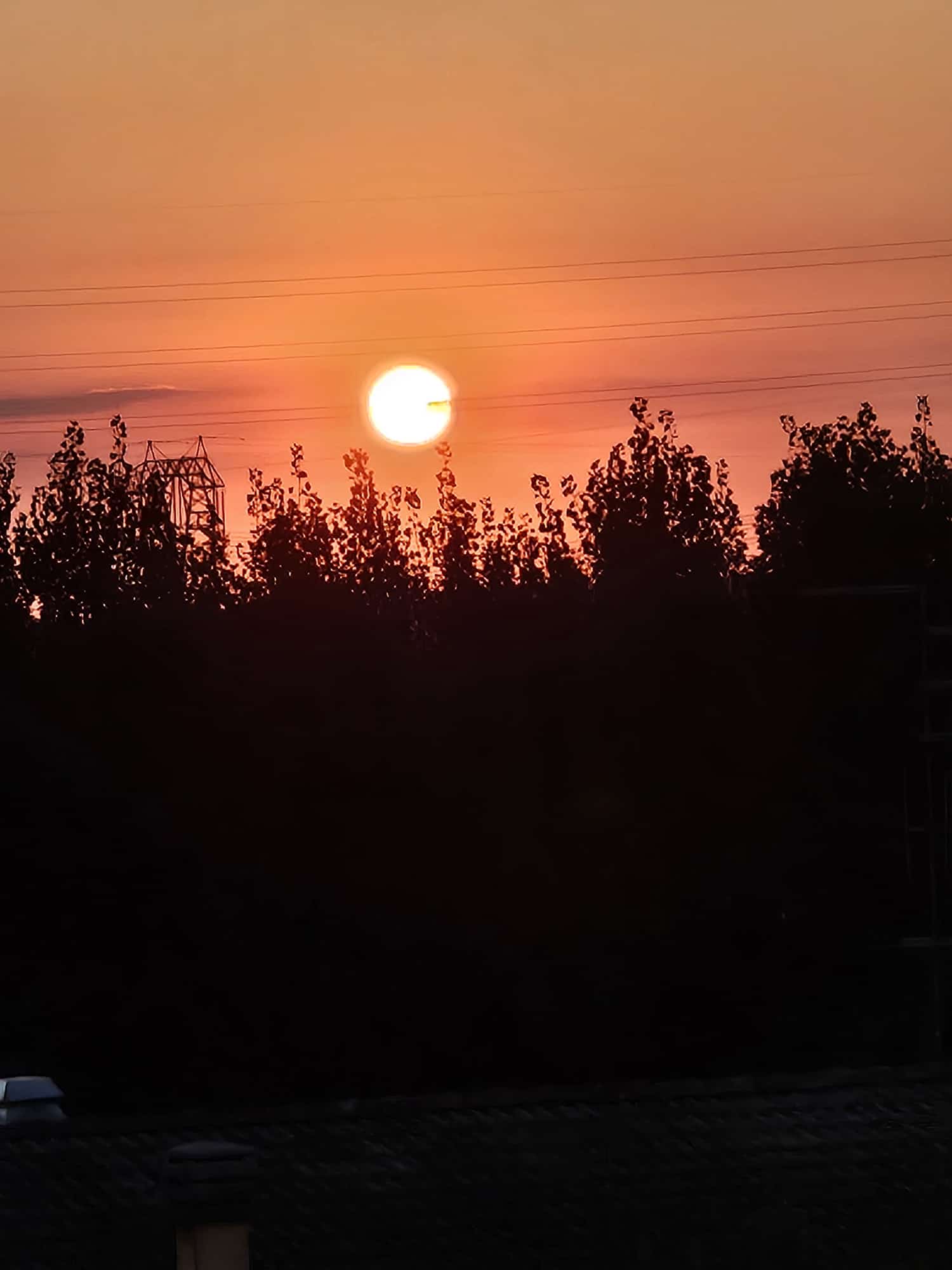 Venerdì 31 ottobre 2025