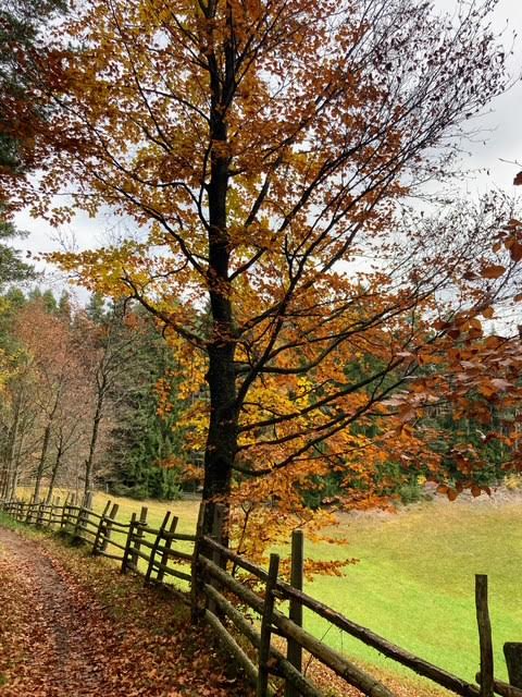 Lunedì 10 novembre 2025