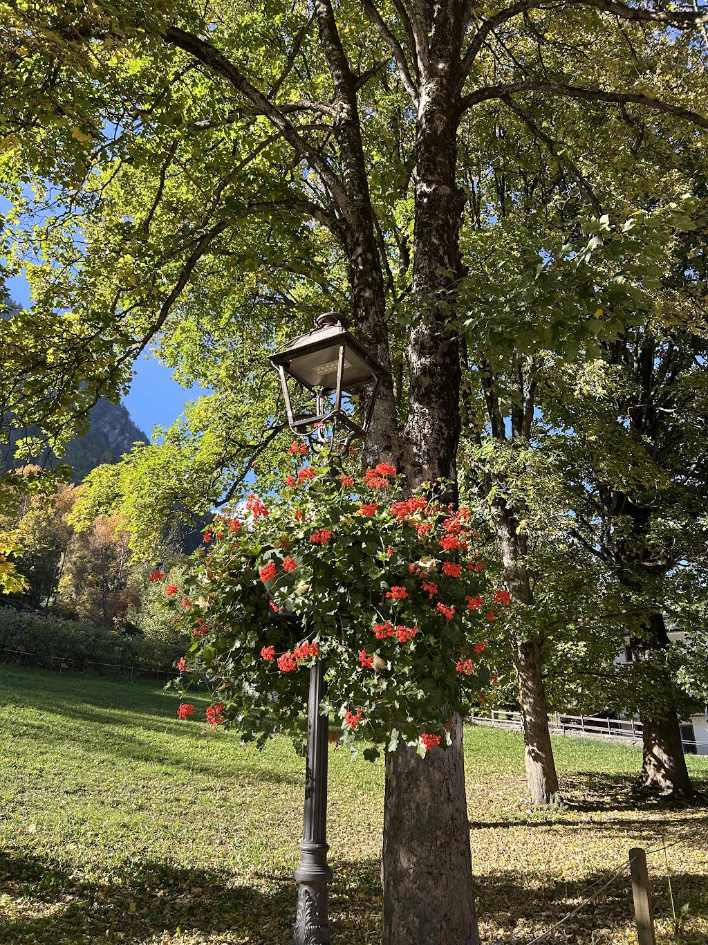 Lunedì 17 novembre 2025