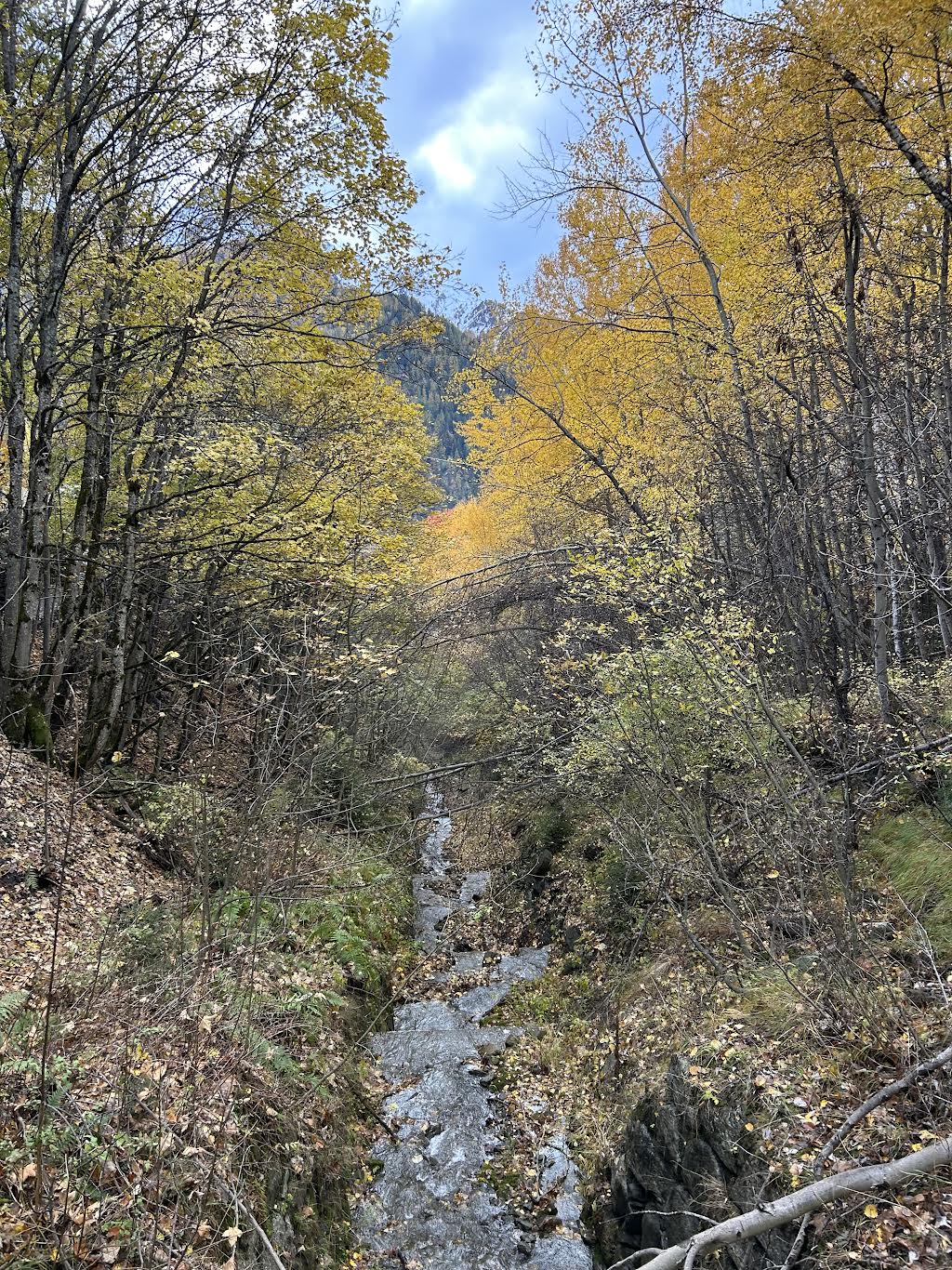 Giovedì 20 novembre 2025