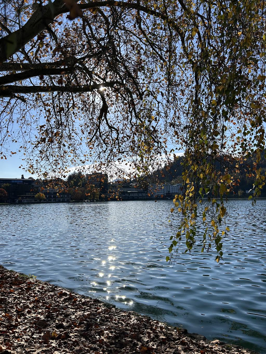 Lunedì 24 novembre 2025