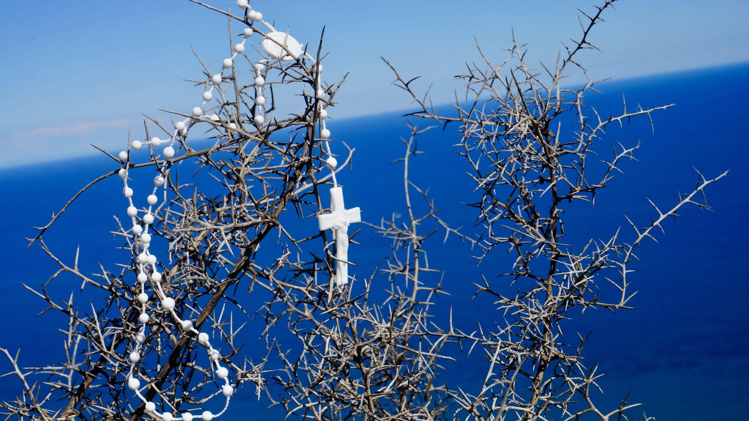 Giovedì 6 novembre 2025