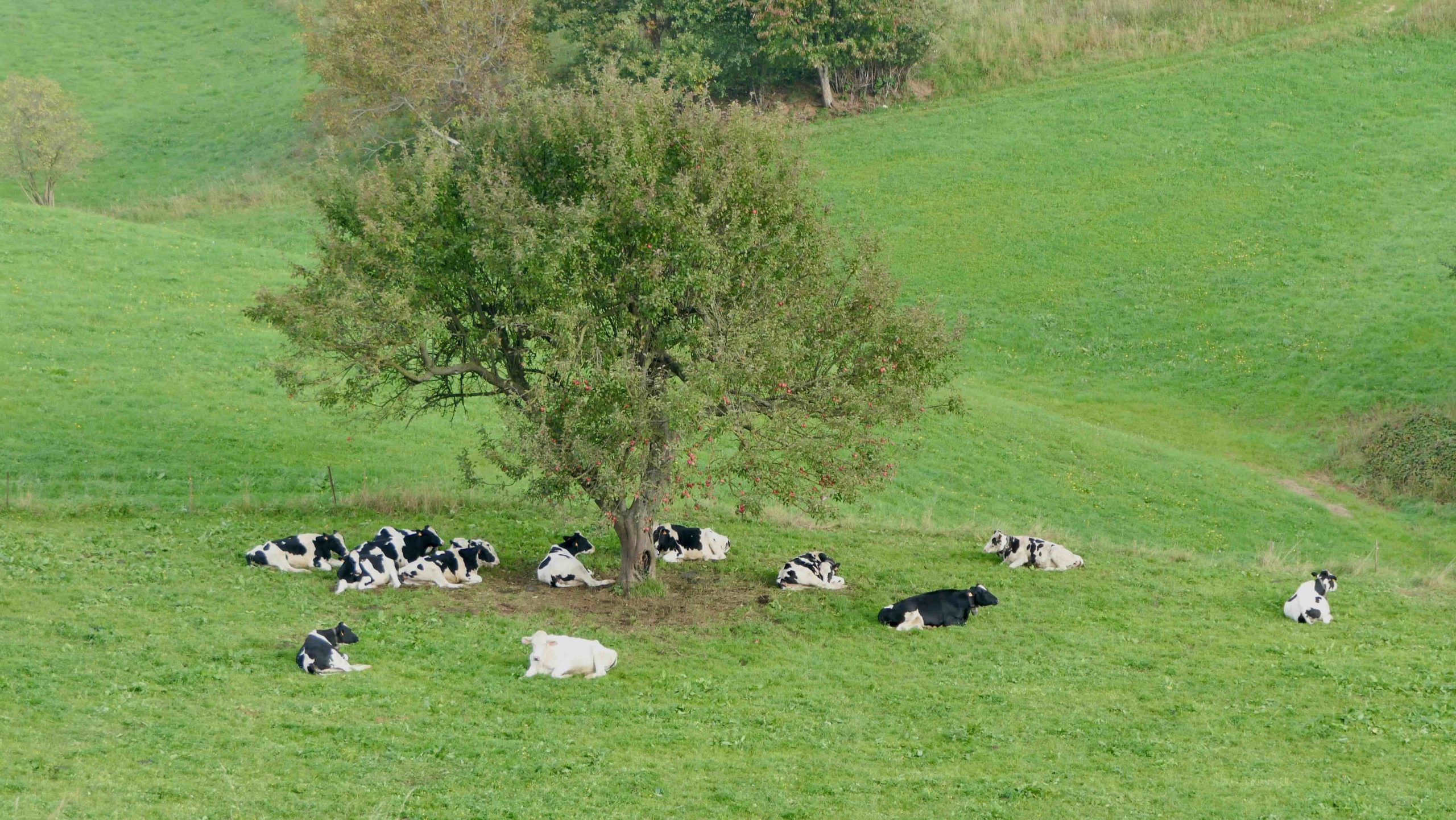 Martedì 11 novembre 2025