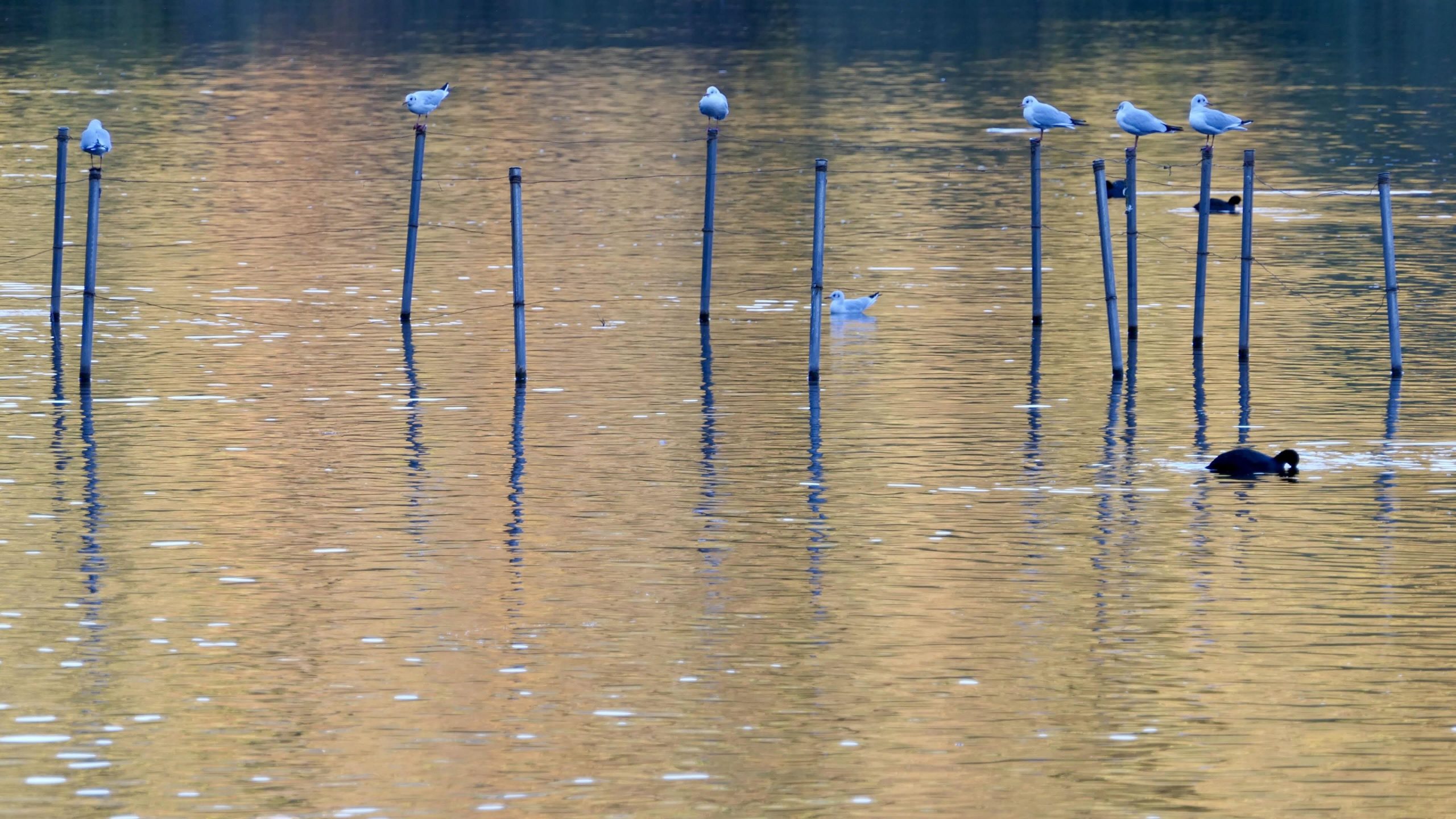 Giovedì 13 novembre 2025