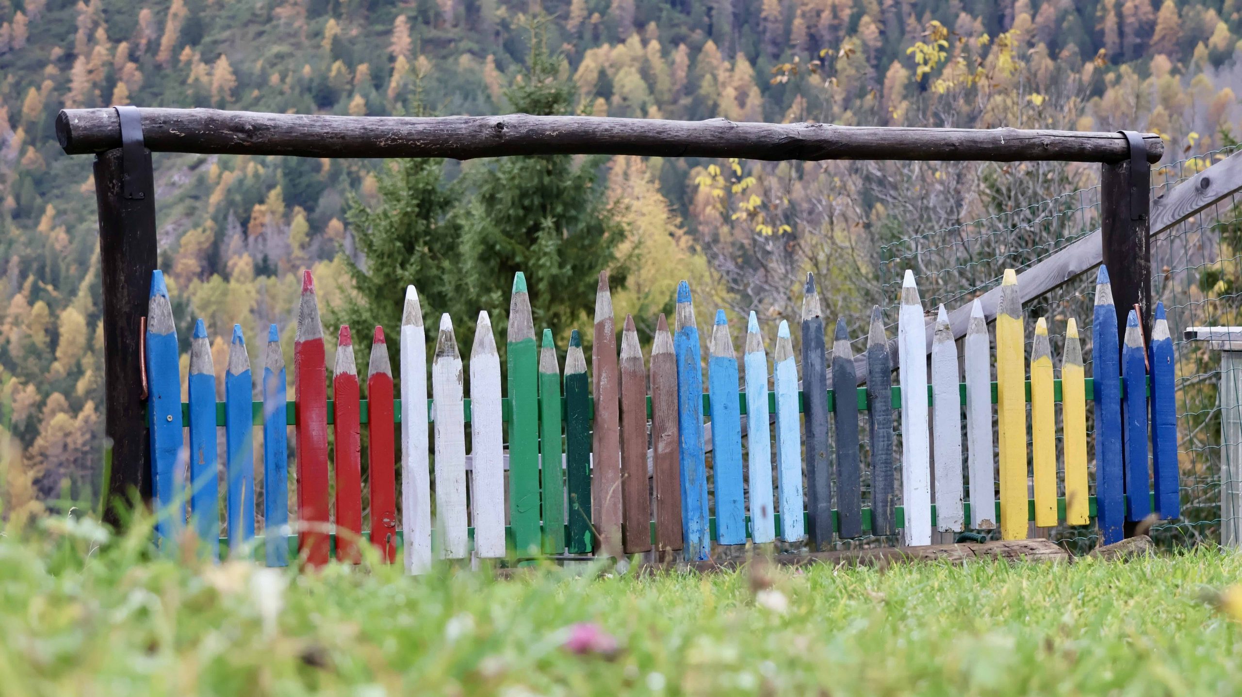 Venerdì 14 novembre 2025