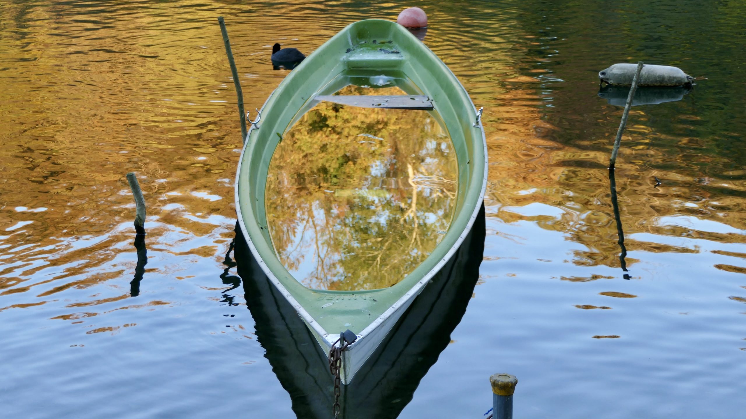 Mercoledì 19 novembre 2025