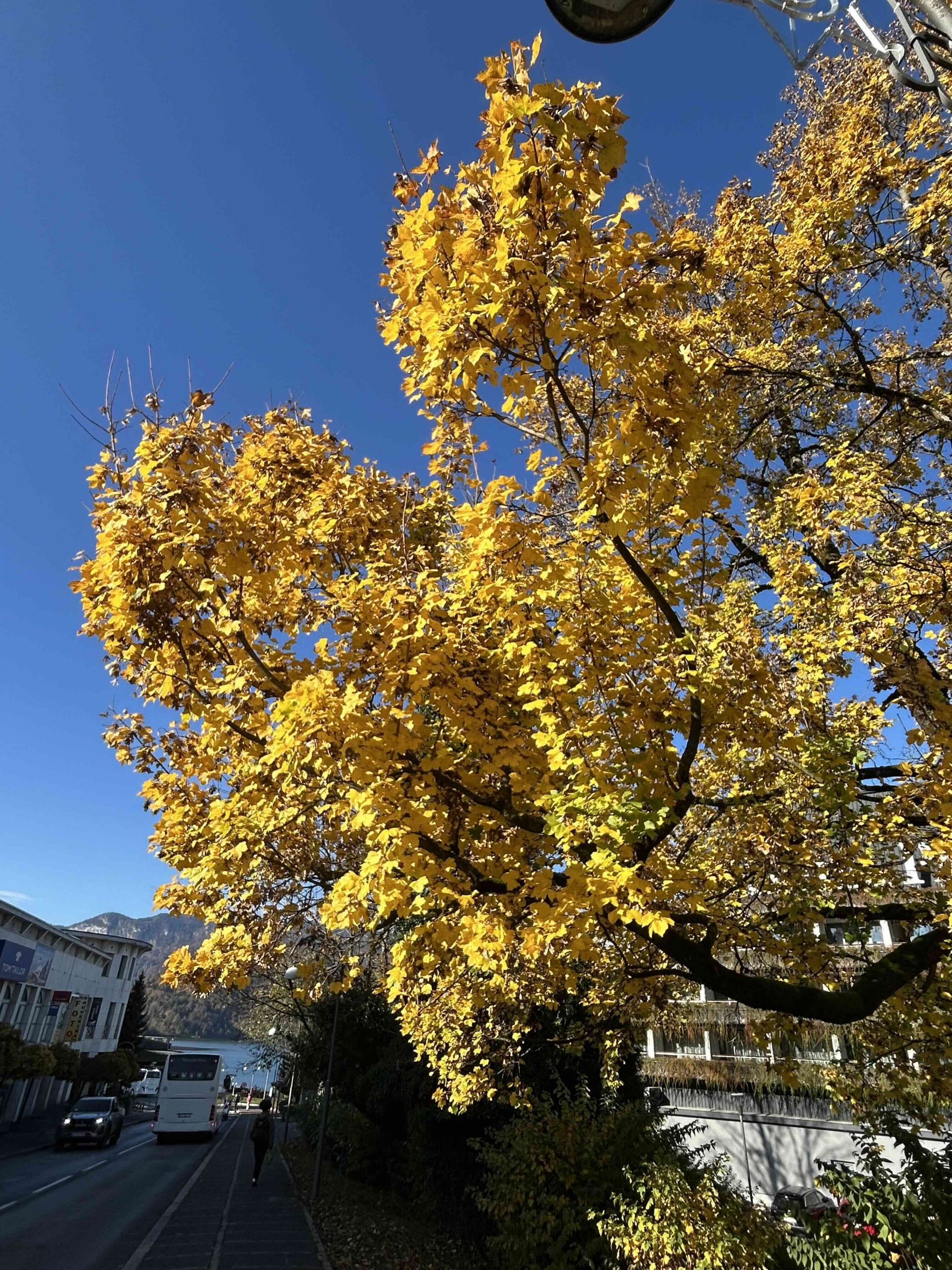 Venerdì 21 novembre 2025