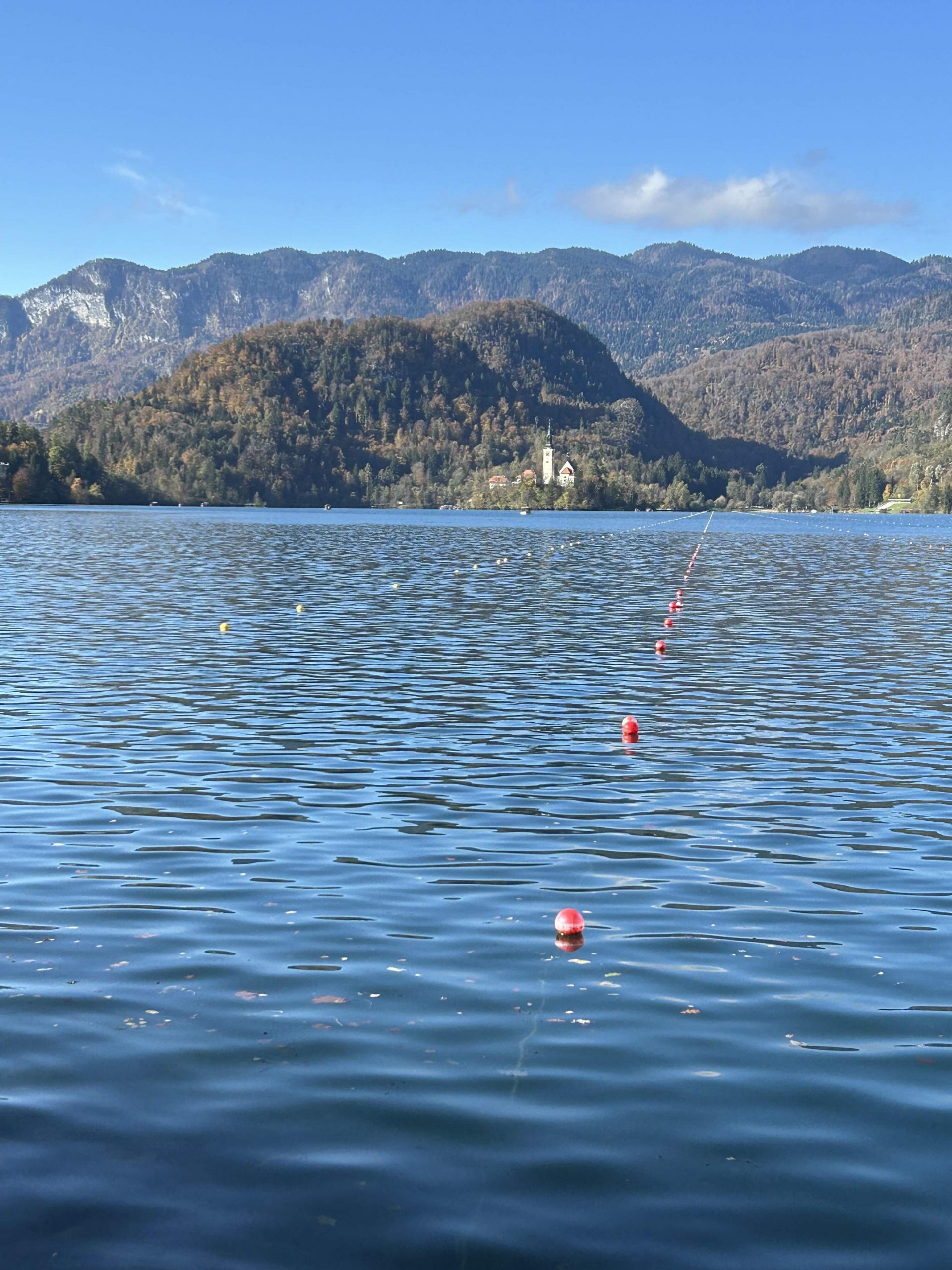 Martedì 25 novembre 2025