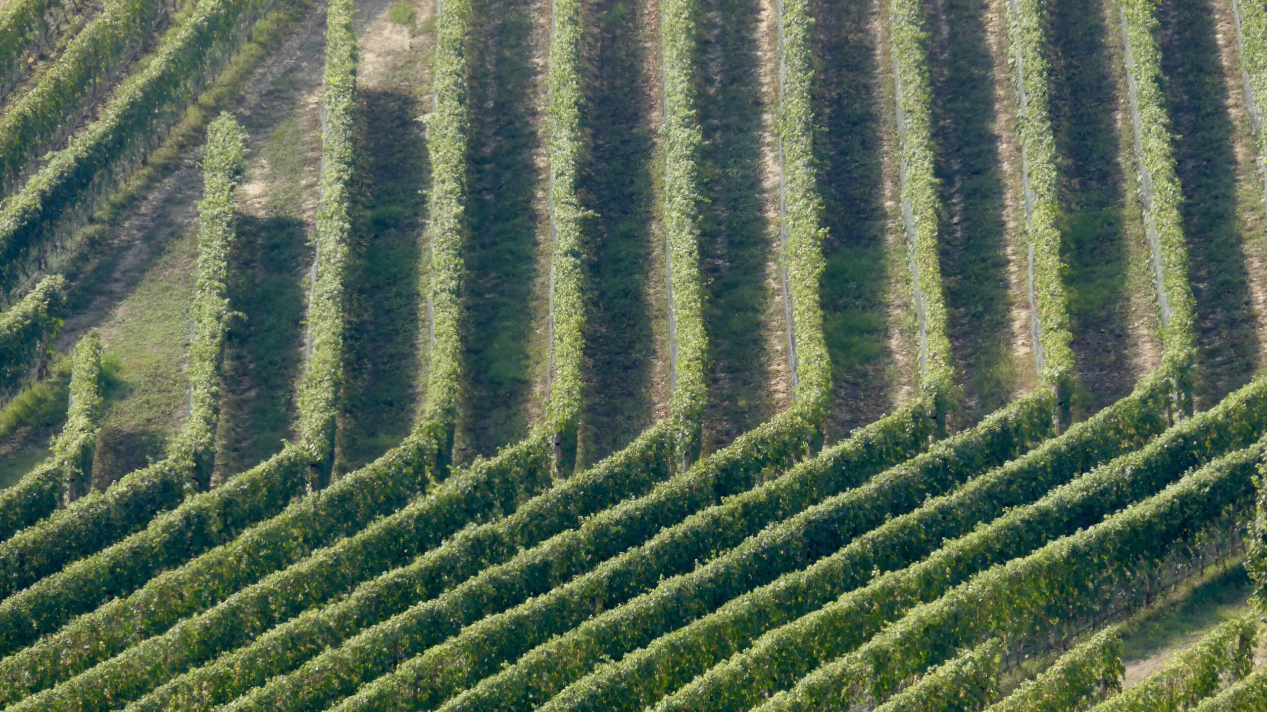 Mercoledì 26 novembre 2025