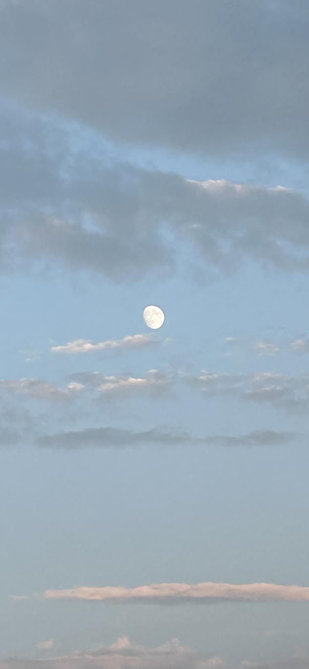 Mercoledì 3 dicembre 2025