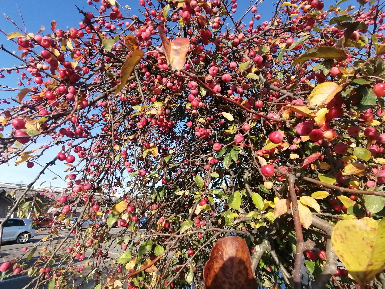 Venerdì 5 dicembre 2025