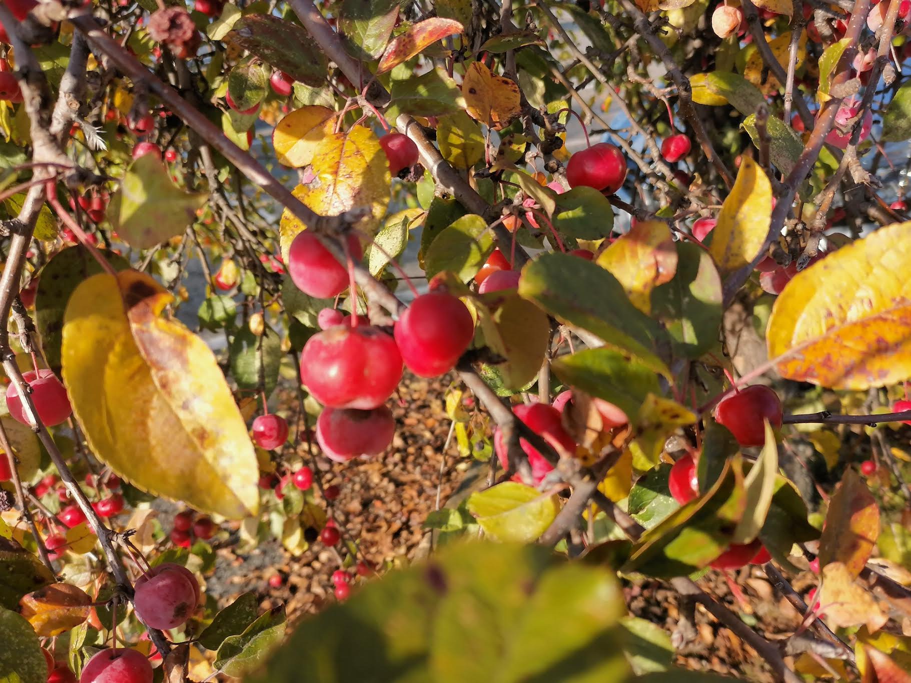 Mercoledì 10 dicembre 2025