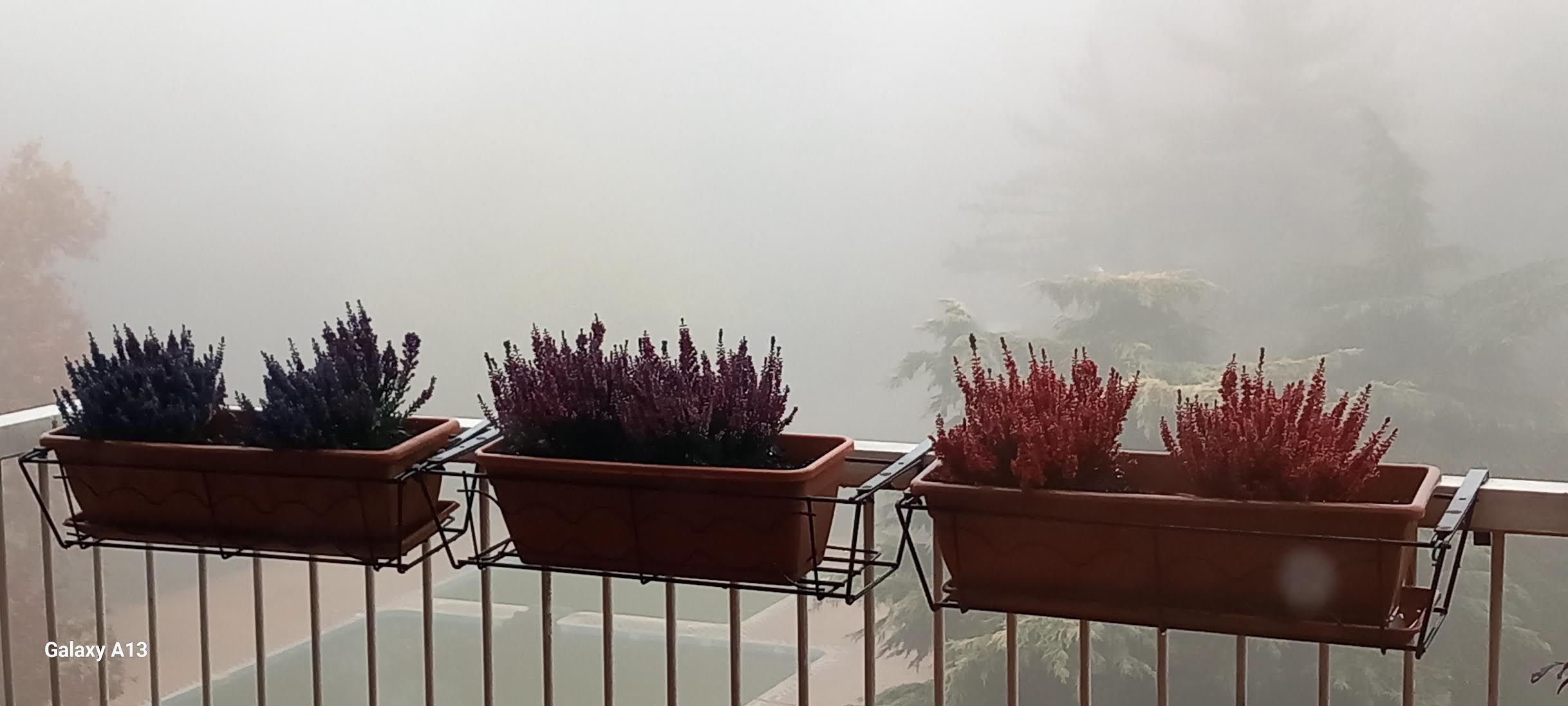 Lunedì 15 dicembre 2025