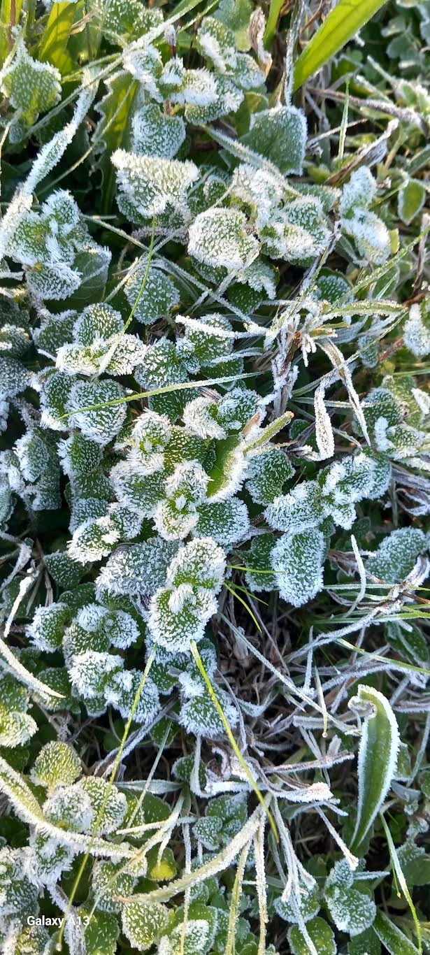 16 dicembre 2025 | nove giorni a Natale