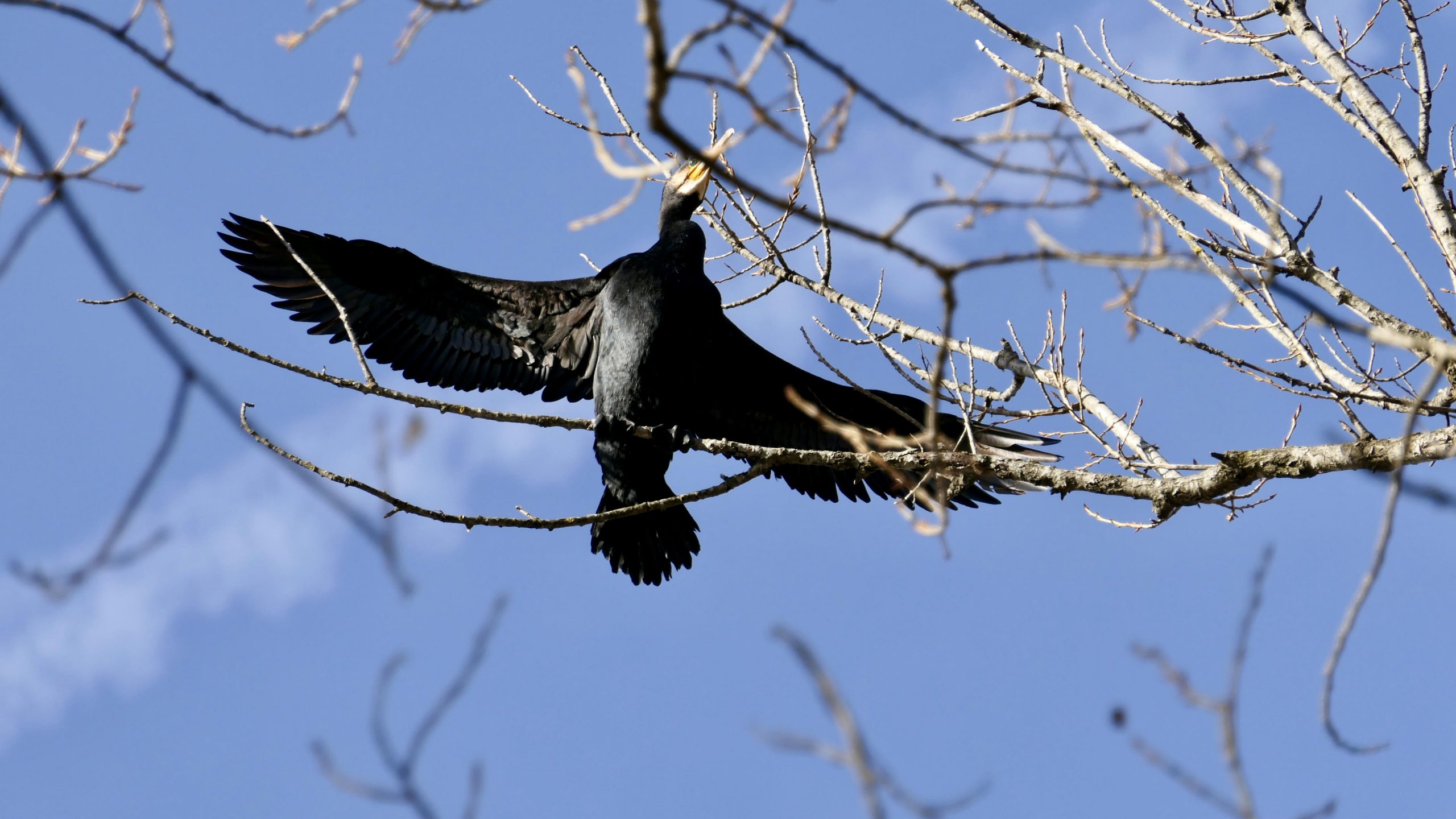 Giovedì 4 dicembre 2025