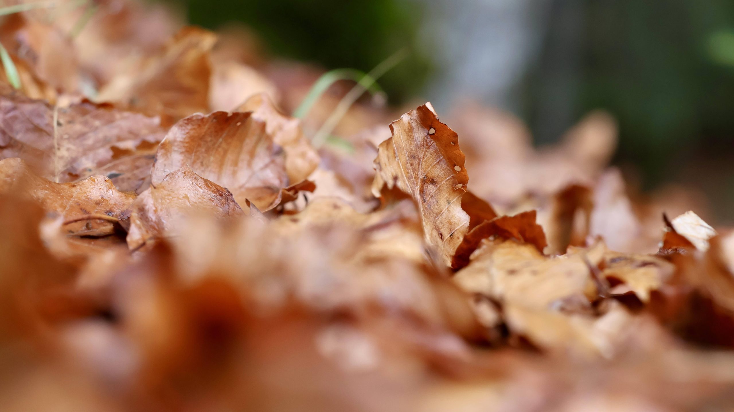 Giovedì 11 dicembre 2025