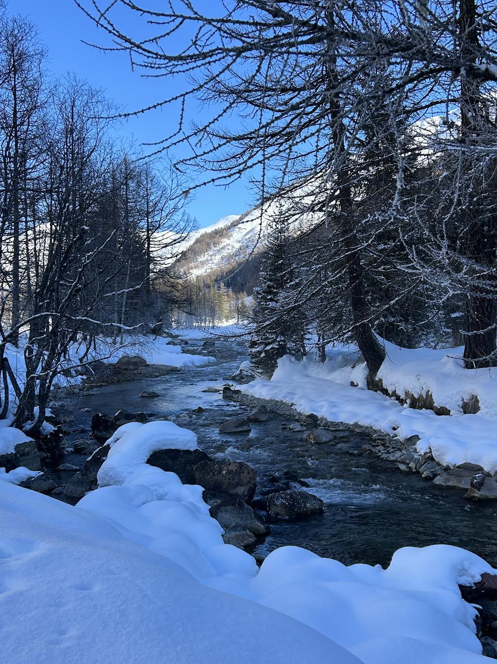 Giovedì 8 gennaio 2026