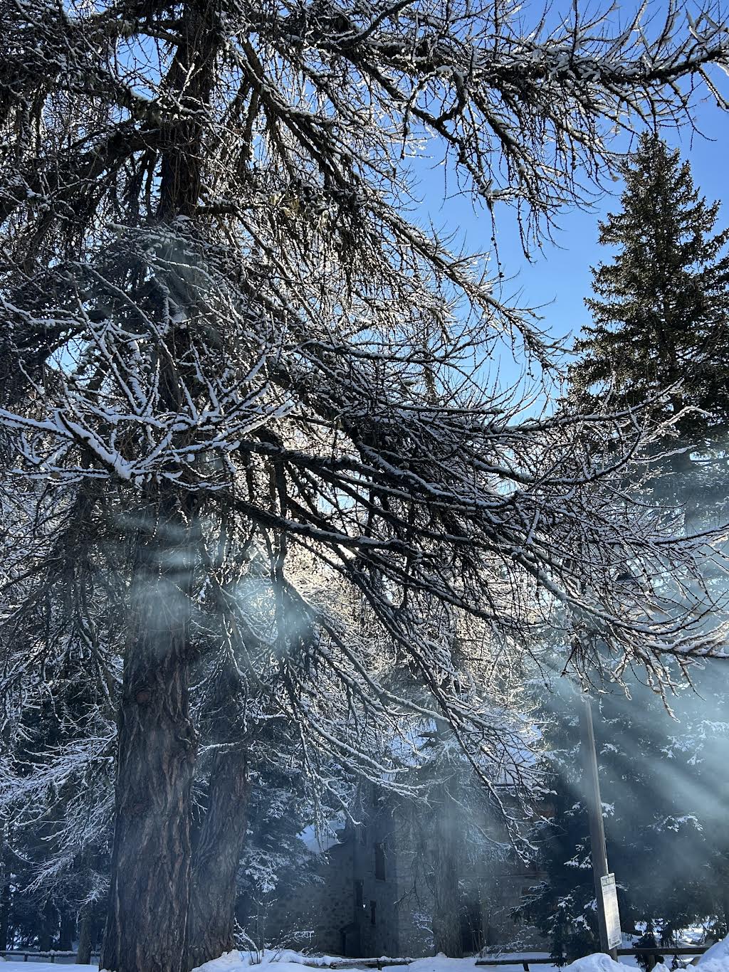Lunedì 12 gennaio 2026