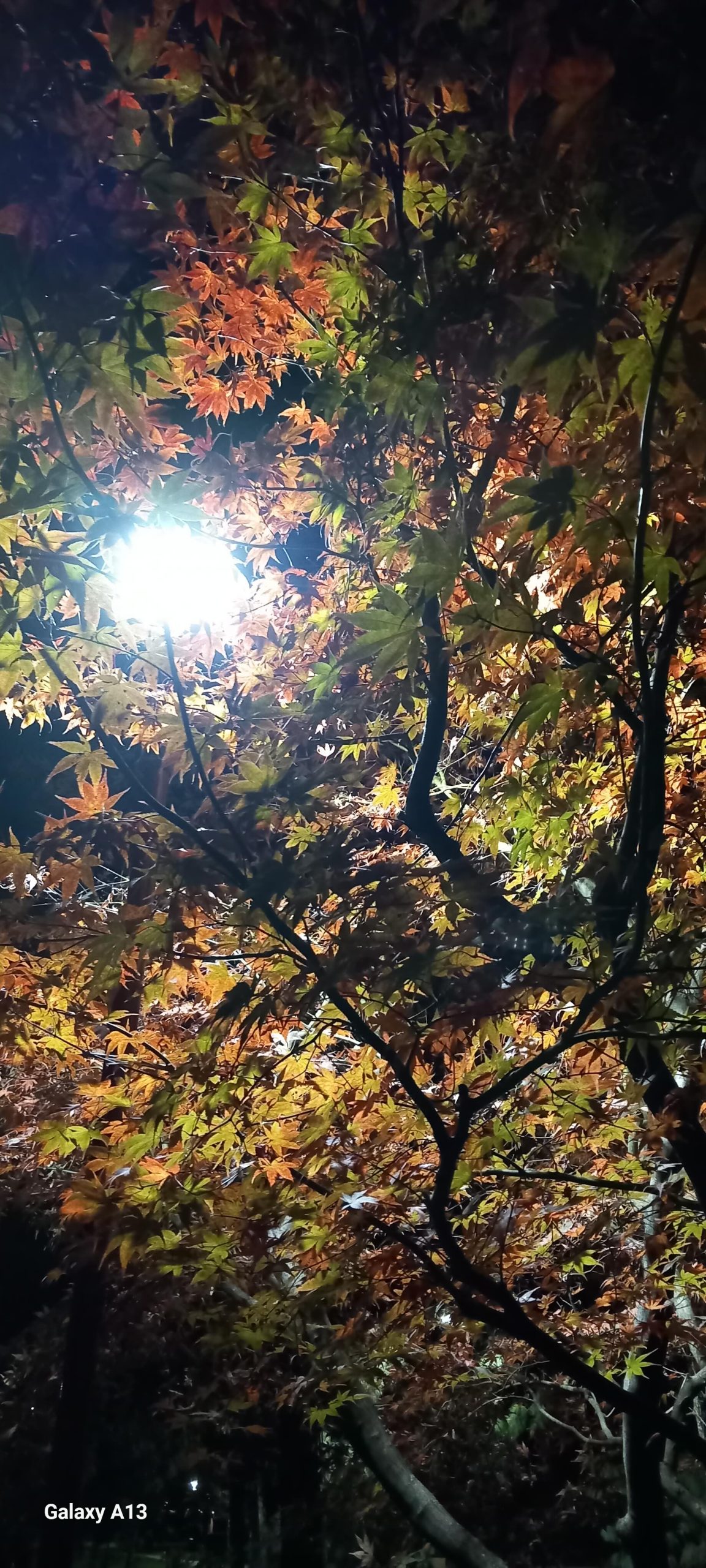 Venerdì 9 gennaio 2026