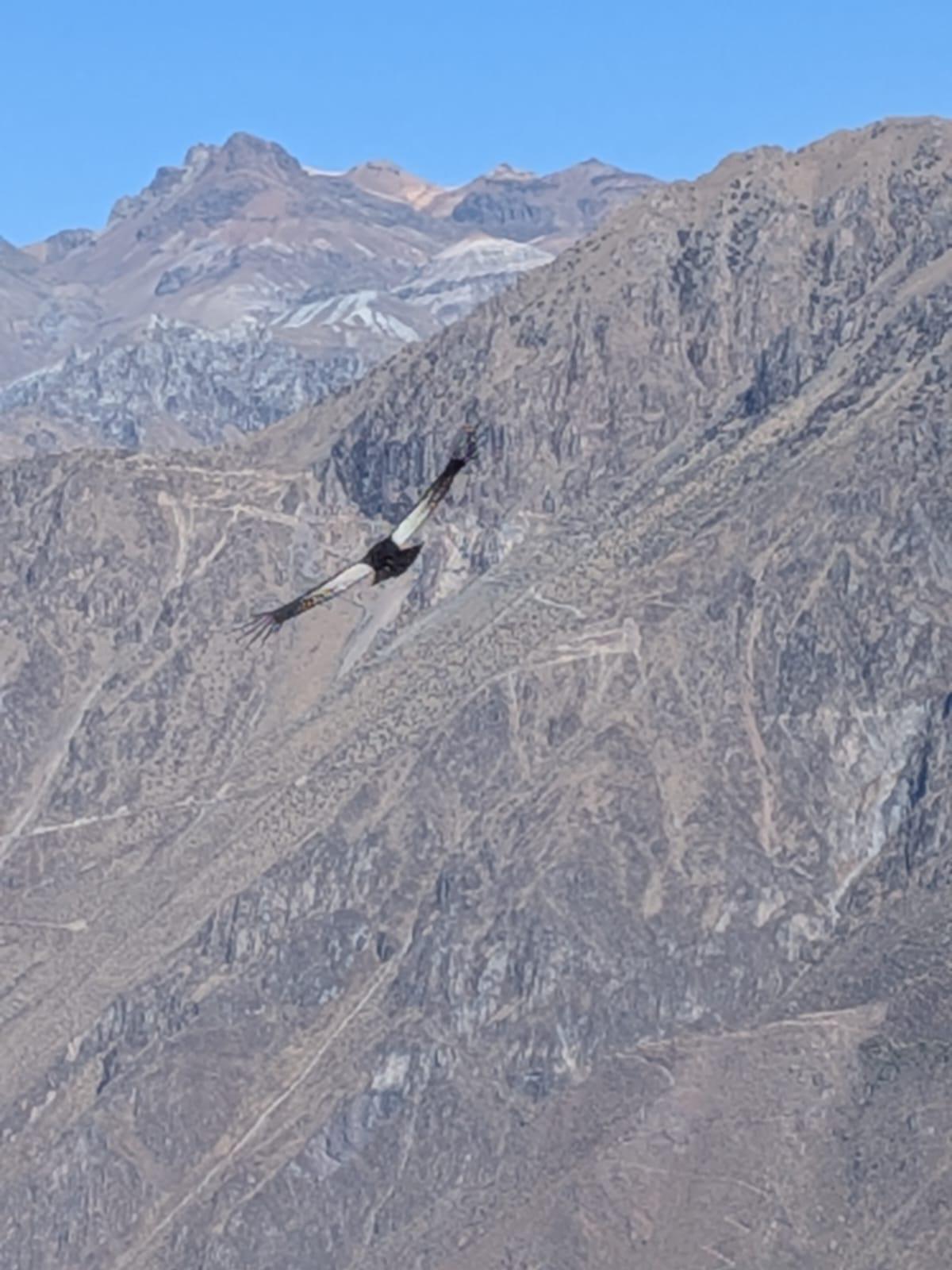 Lunedì 2 febbraio 2026