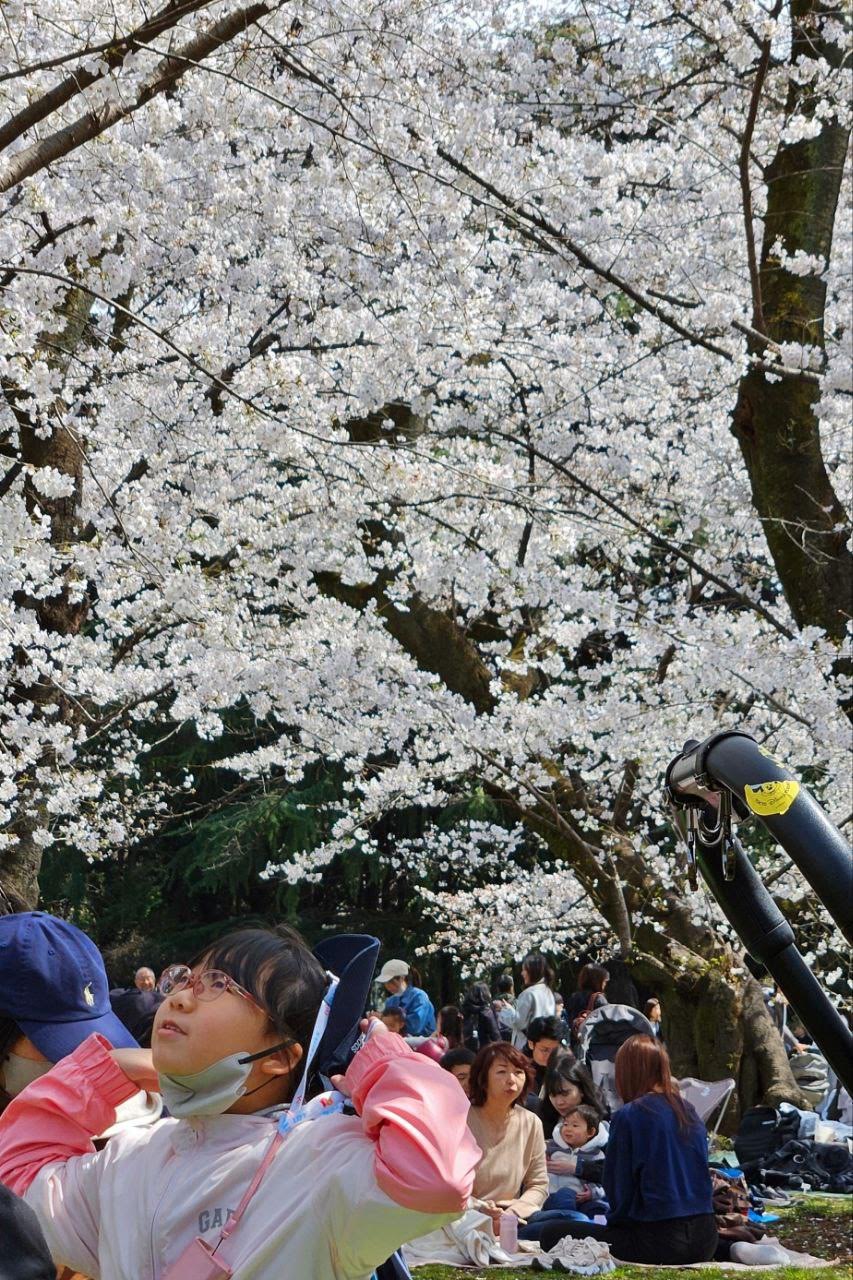 Mercoledì 11 febbraio 2026