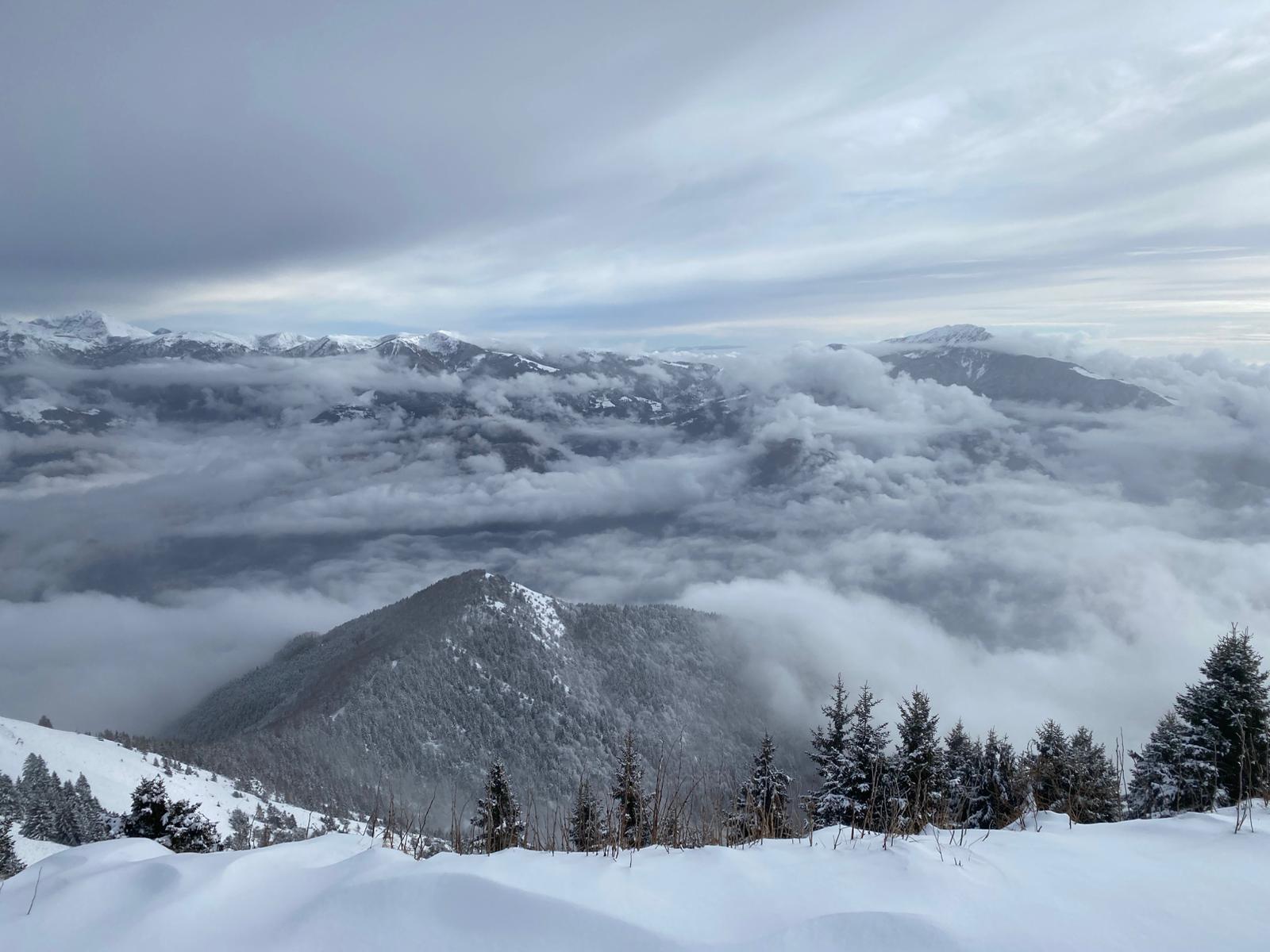 Martedì 17 febbraio 2026