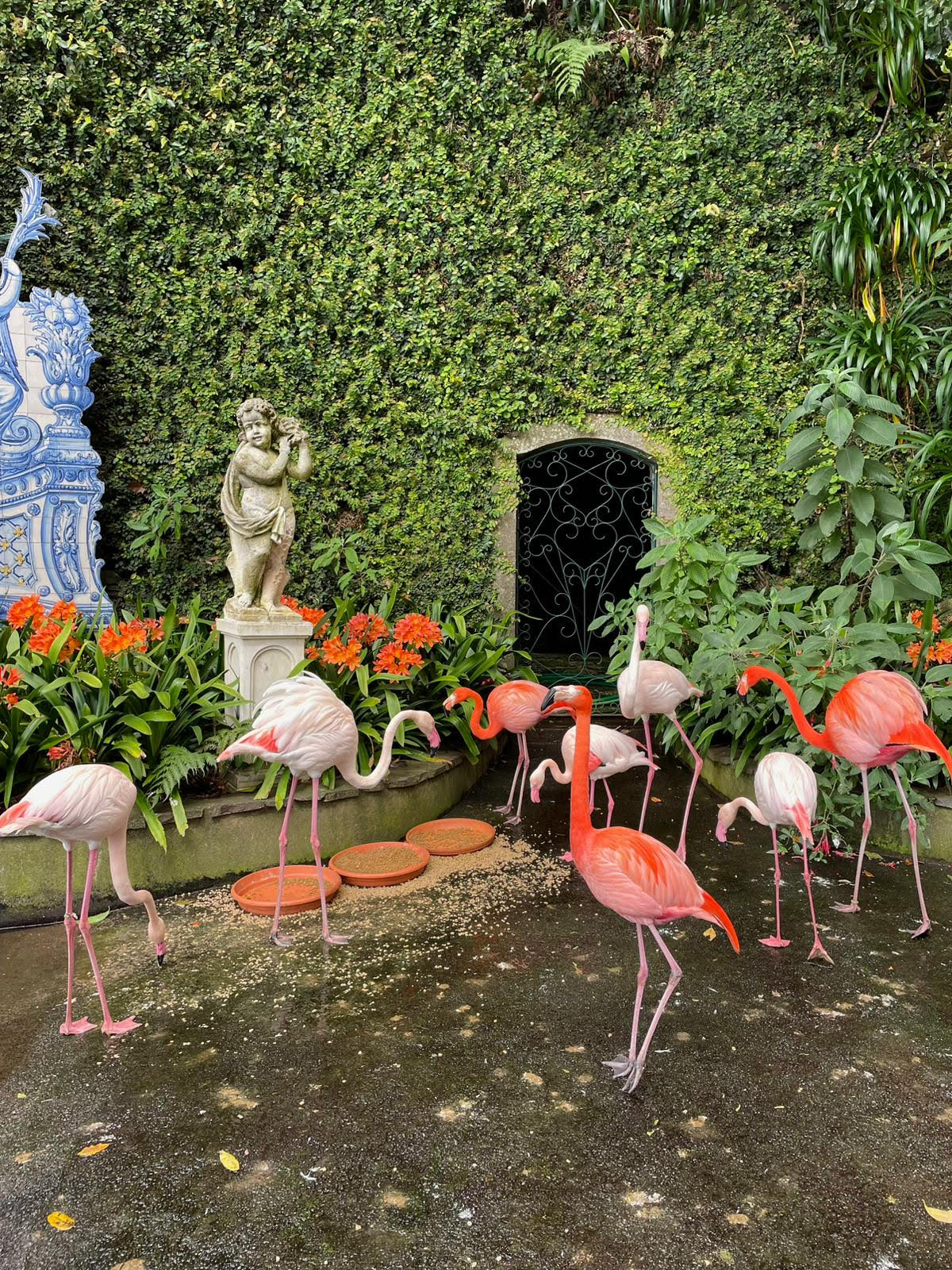 Mercoledì 25 febbraio 2026