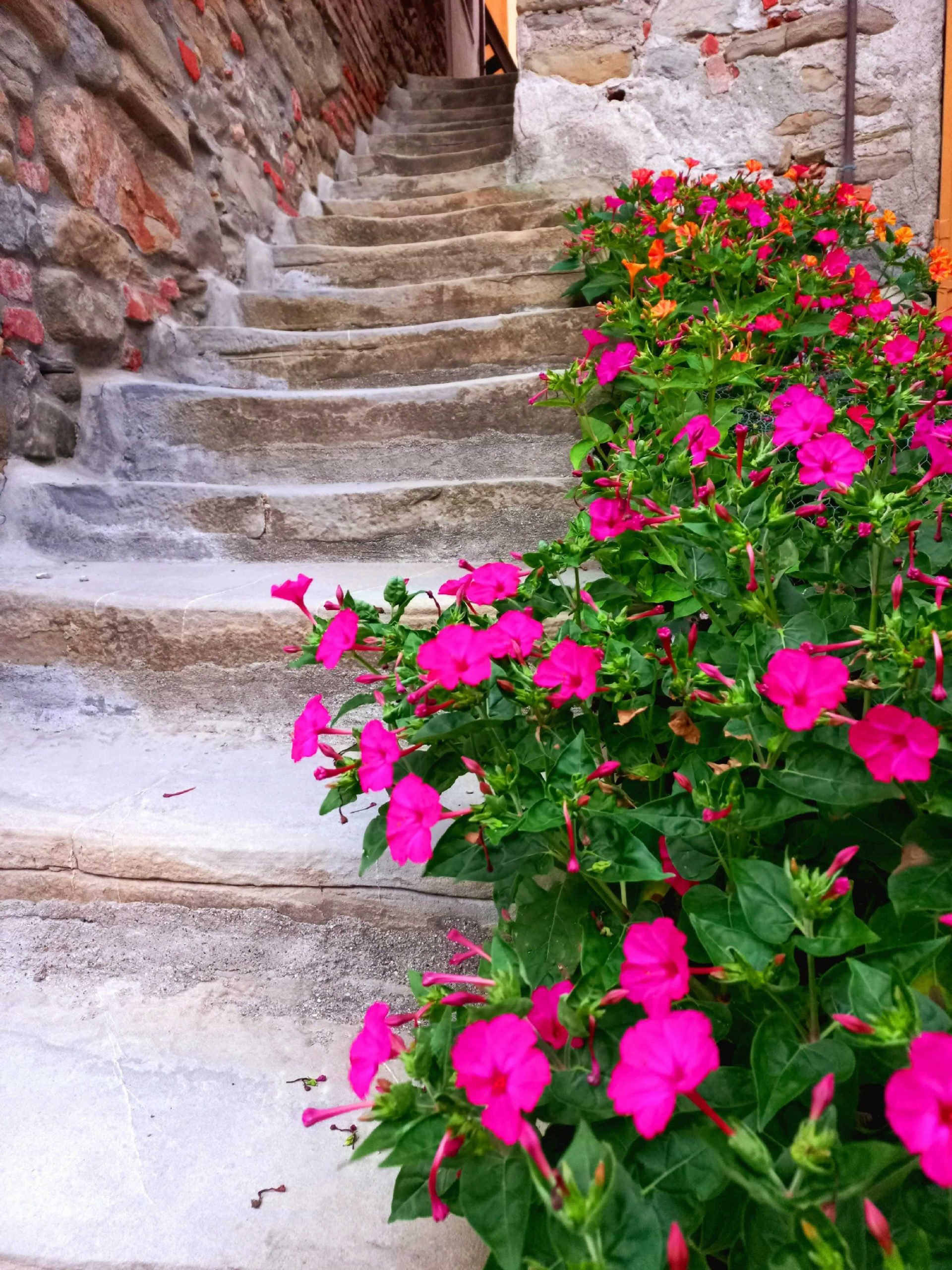 Lunedì 9 febbraio 2026