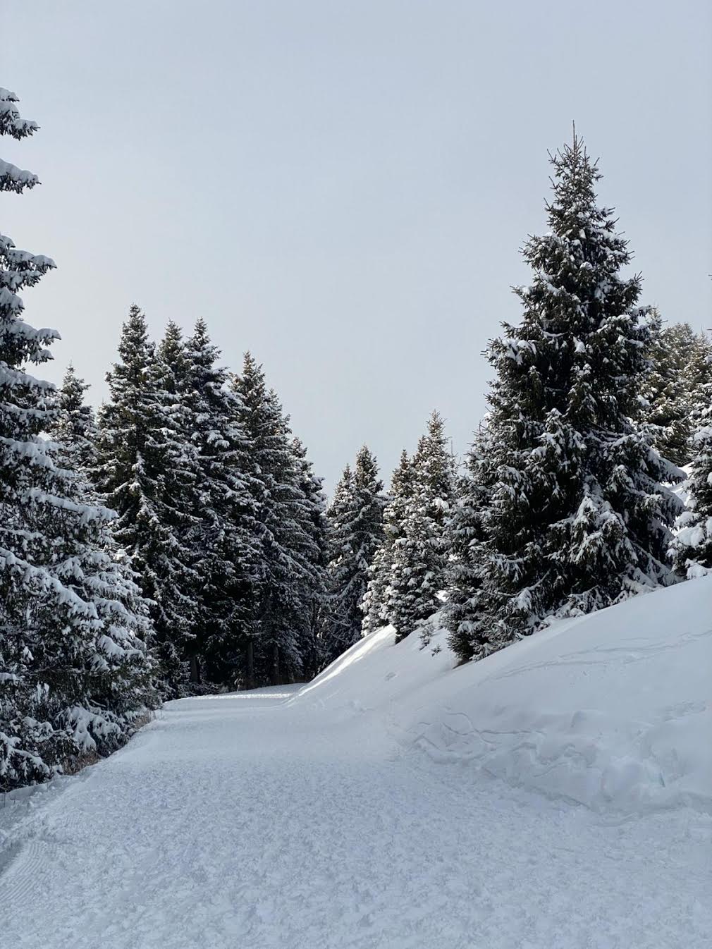 Giovedì 12 marzo 2026