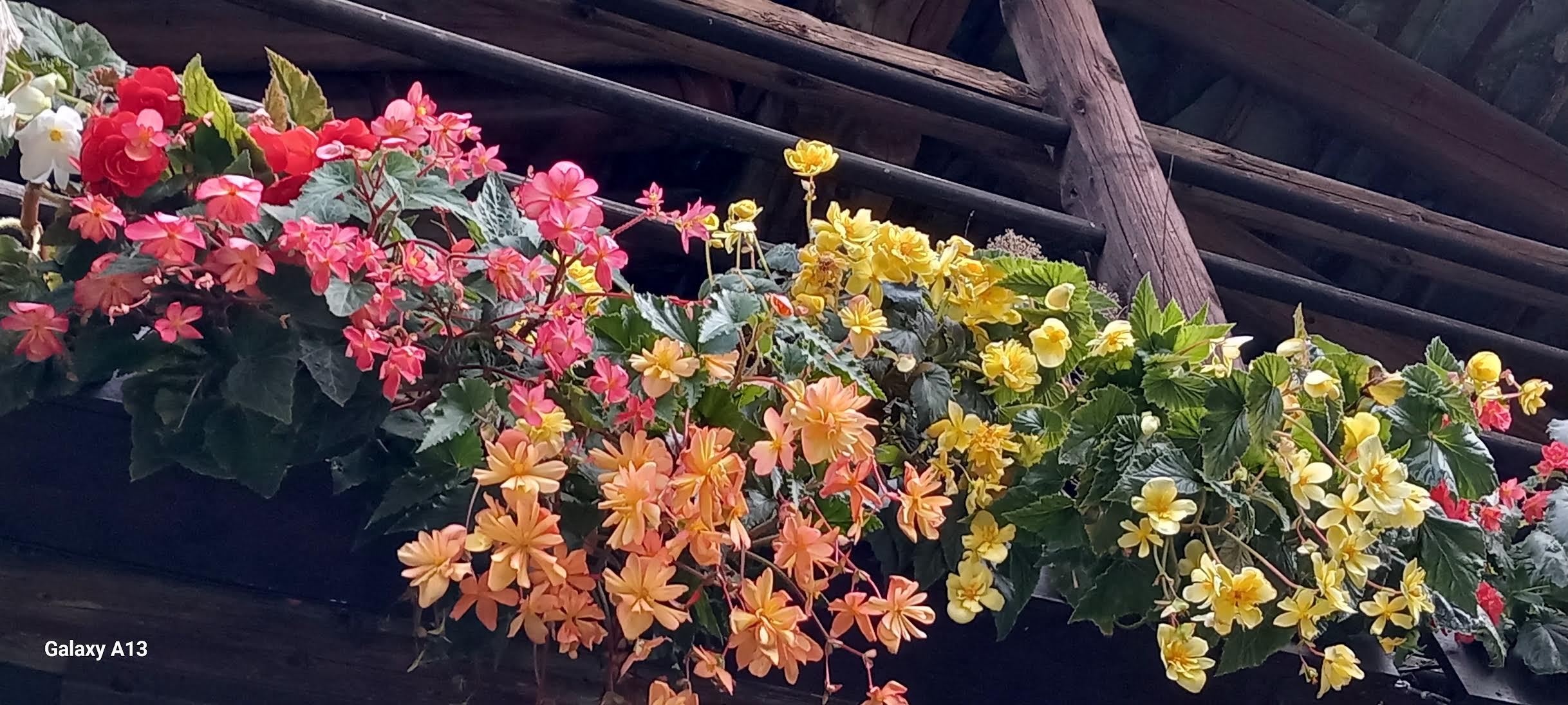 Giovedì 26 marzo 2026