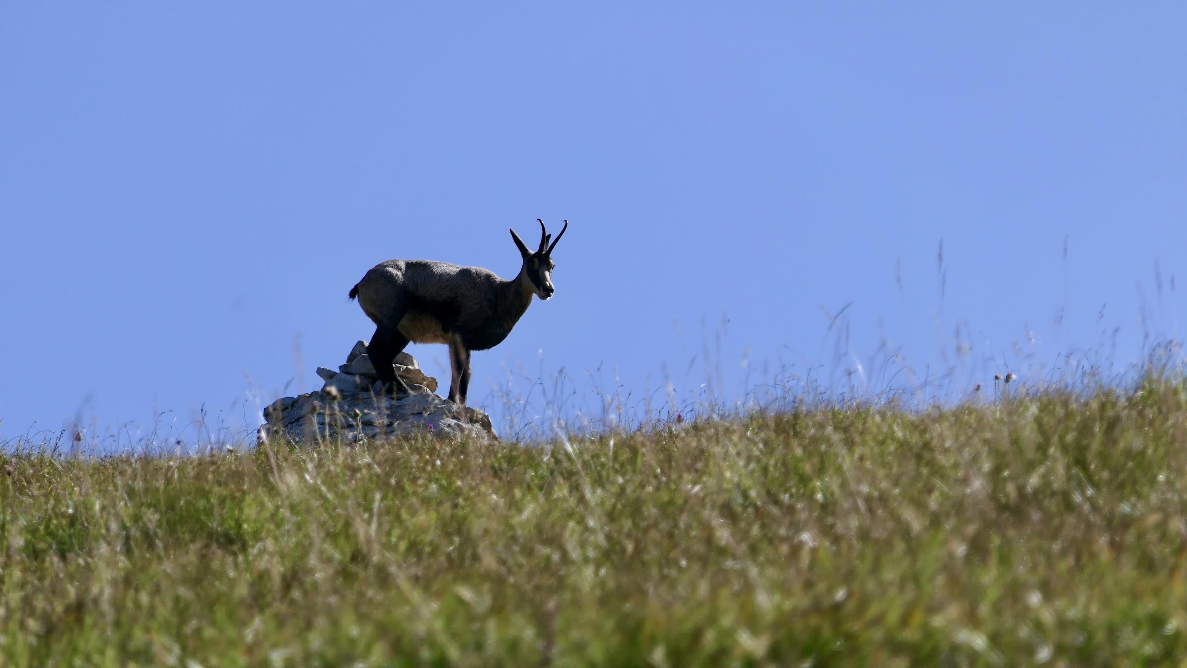 Giovedì 5 marzo 2026