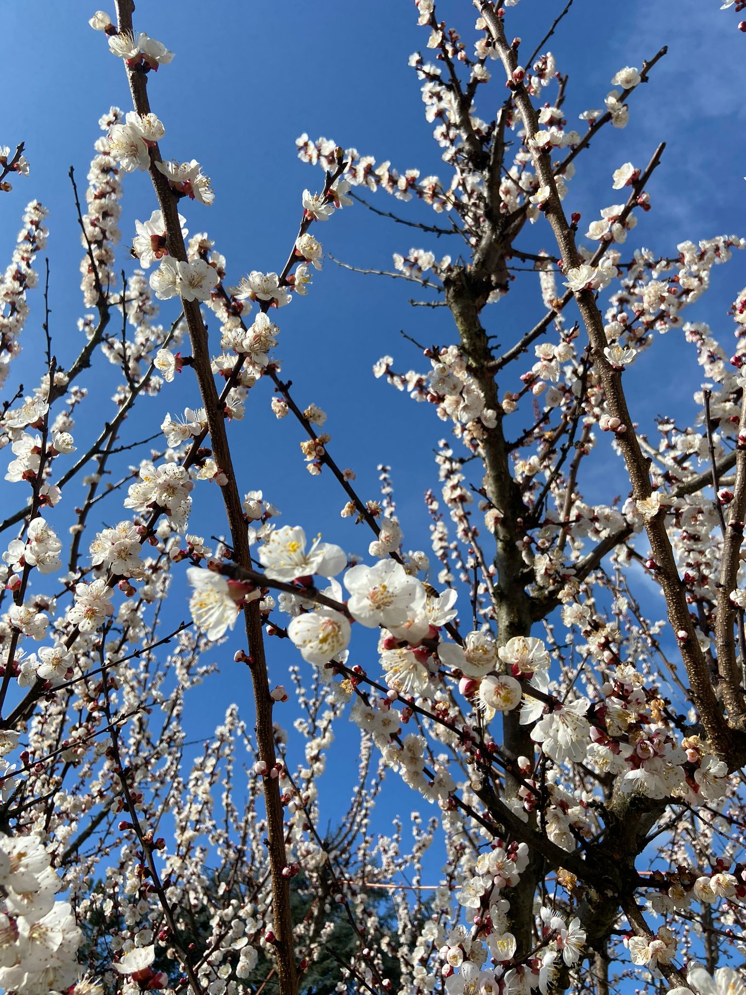 Lunedì 9 marzo 2026