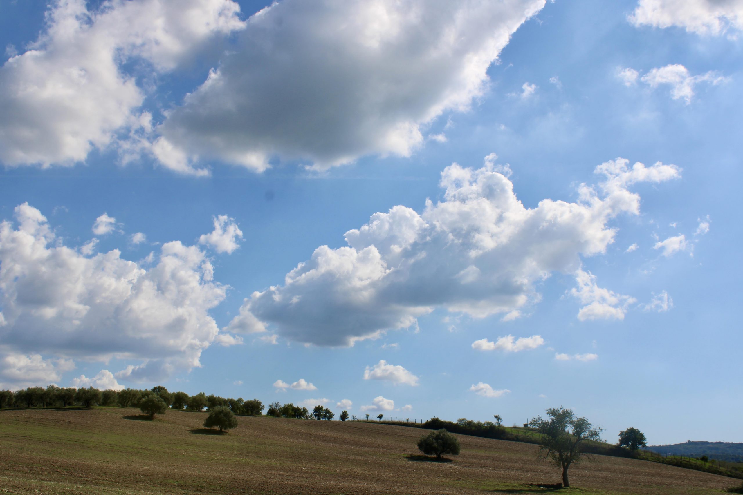Mercoledì 1 aprile 2026