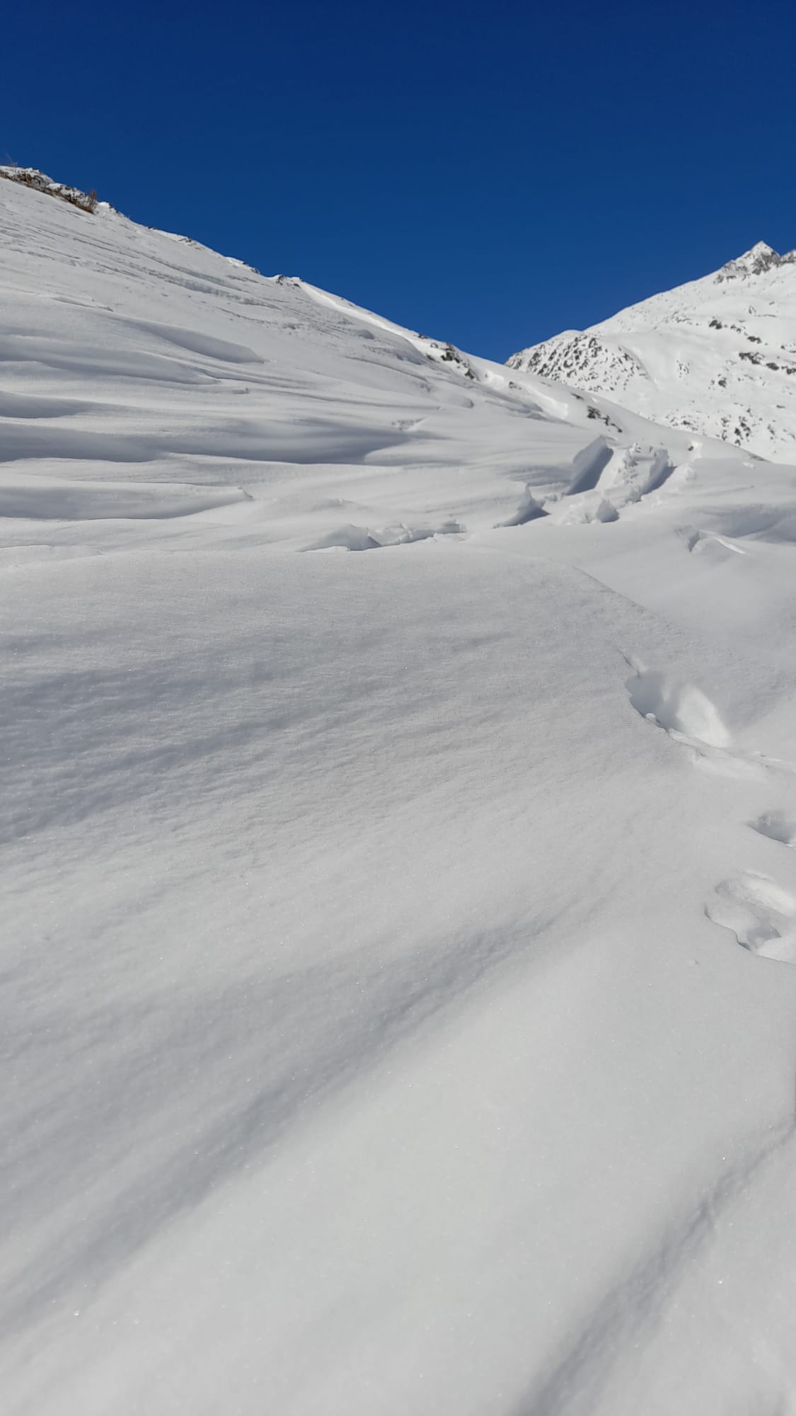 Lunedì 23 marzo 2026