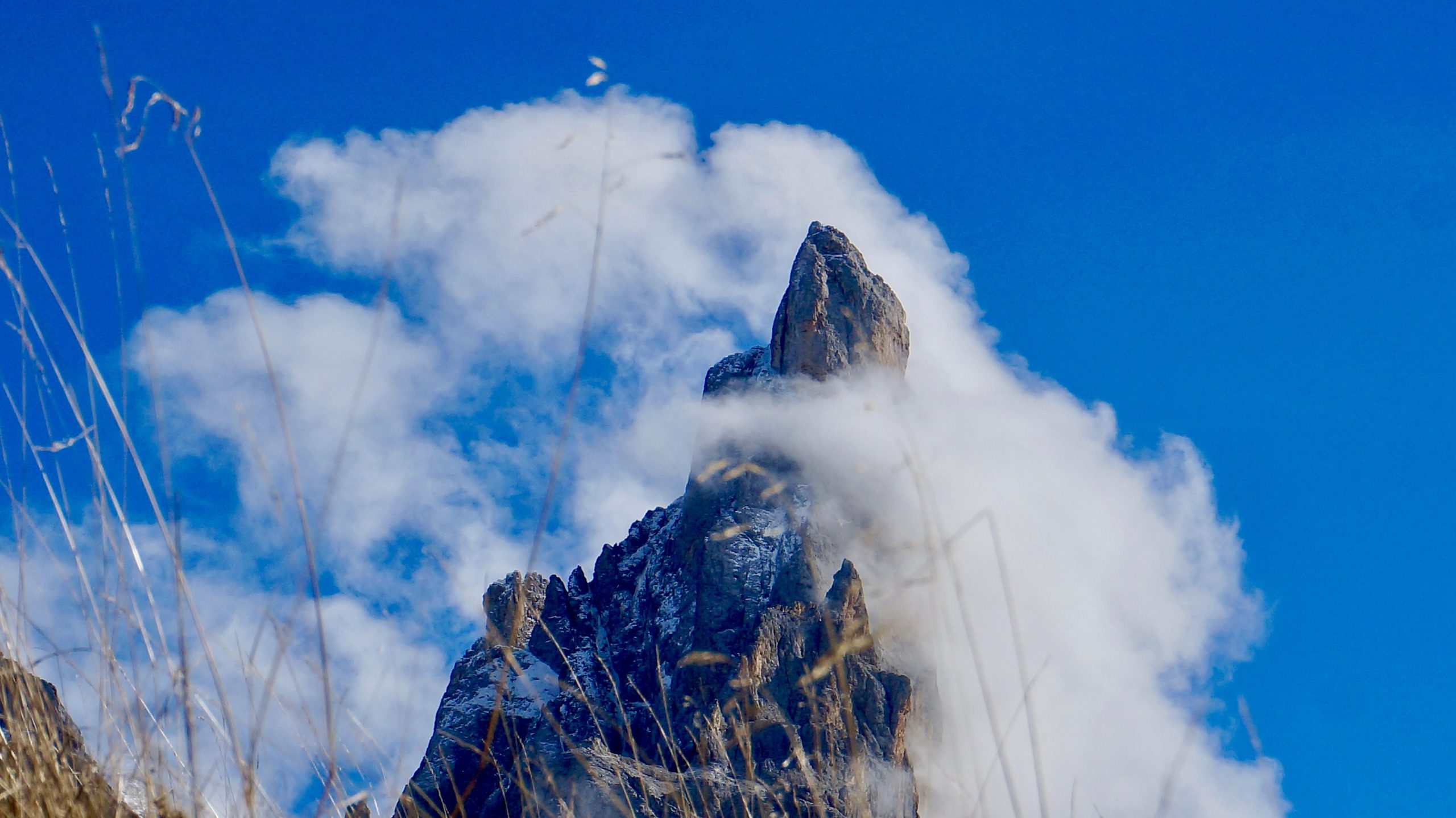 Martedì 31 marzo 2026