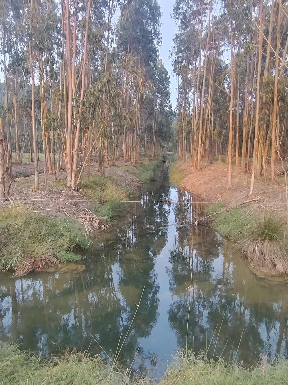 Lunedì 20 aprile 2026