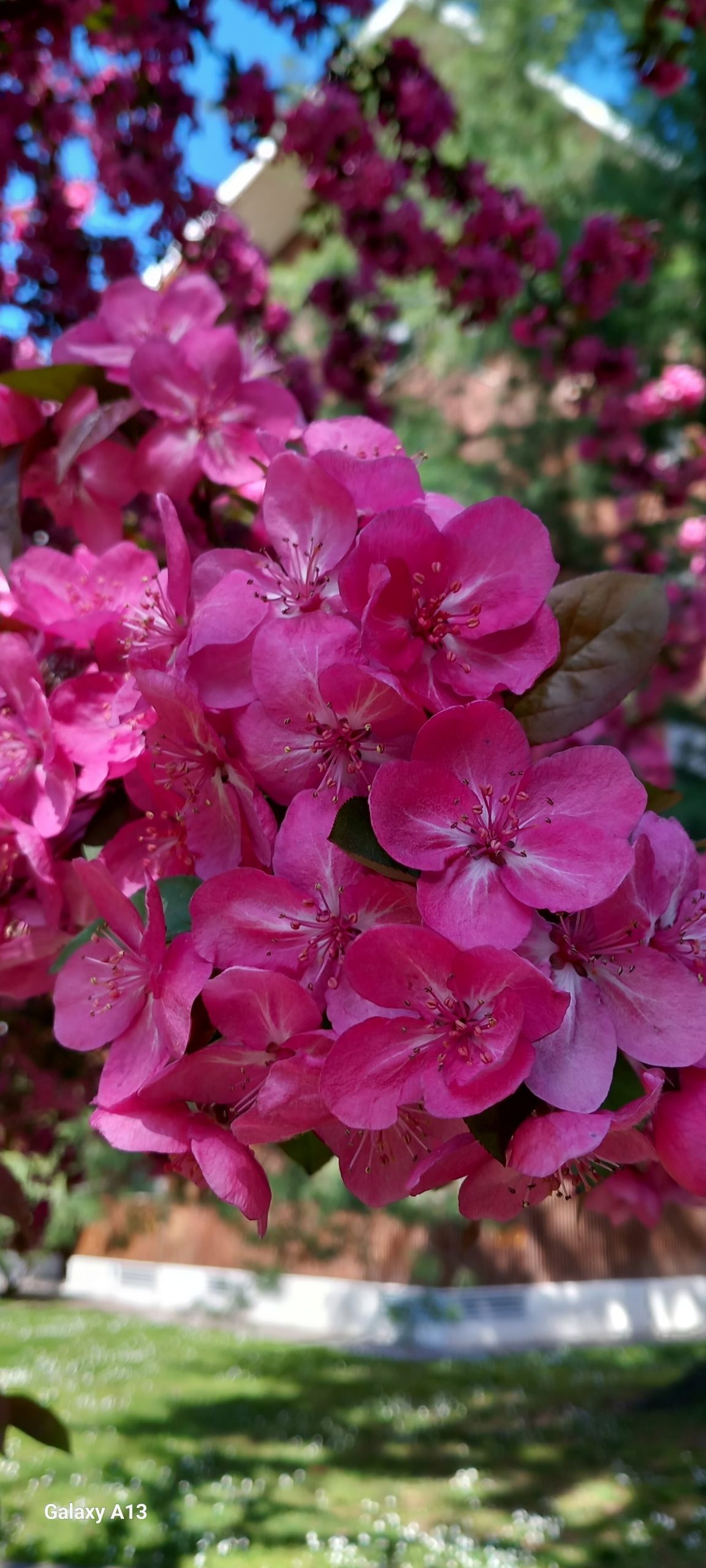 Martedì 14 aprile 2026