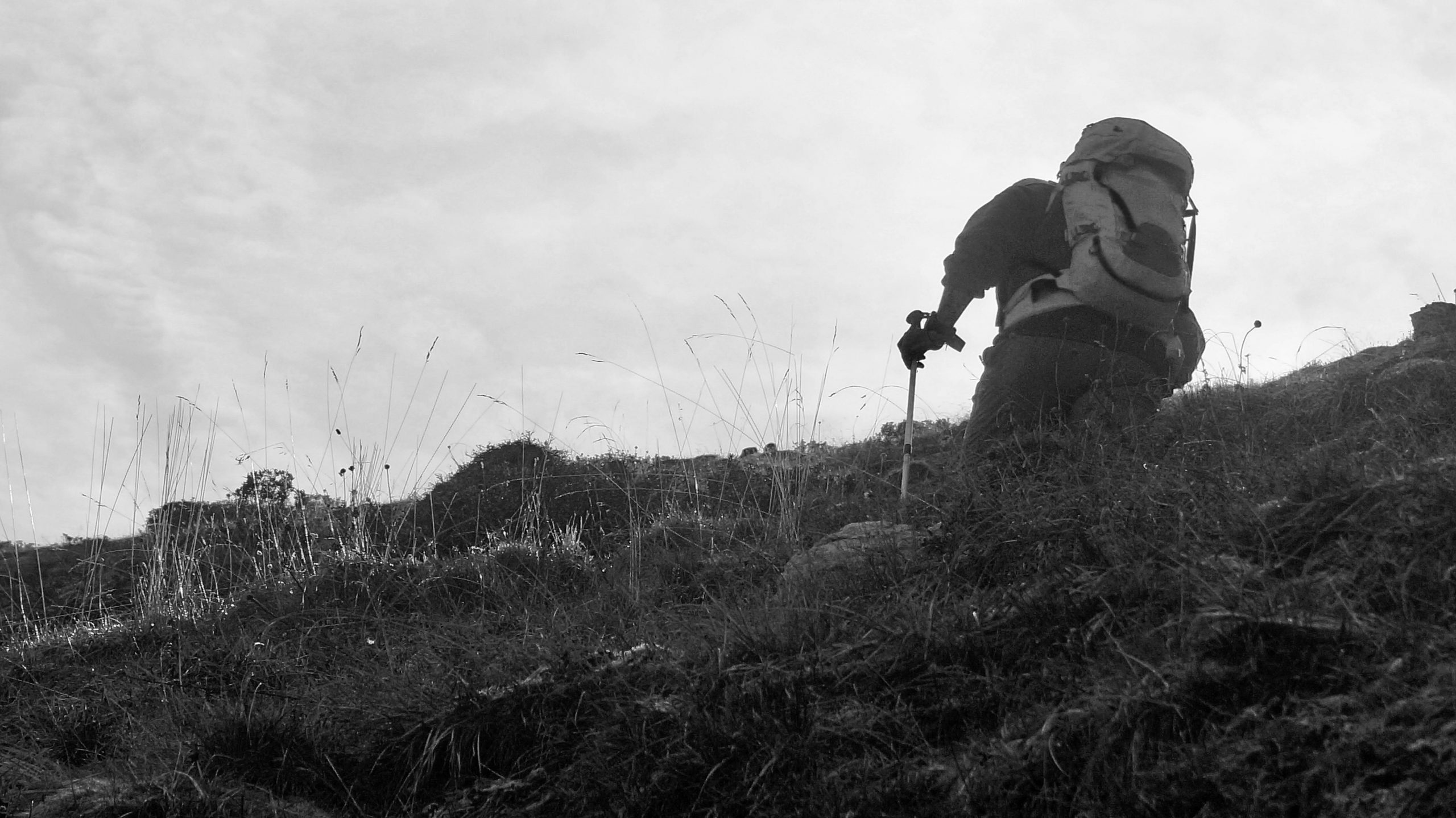 Venerdì 10 aprile 2026