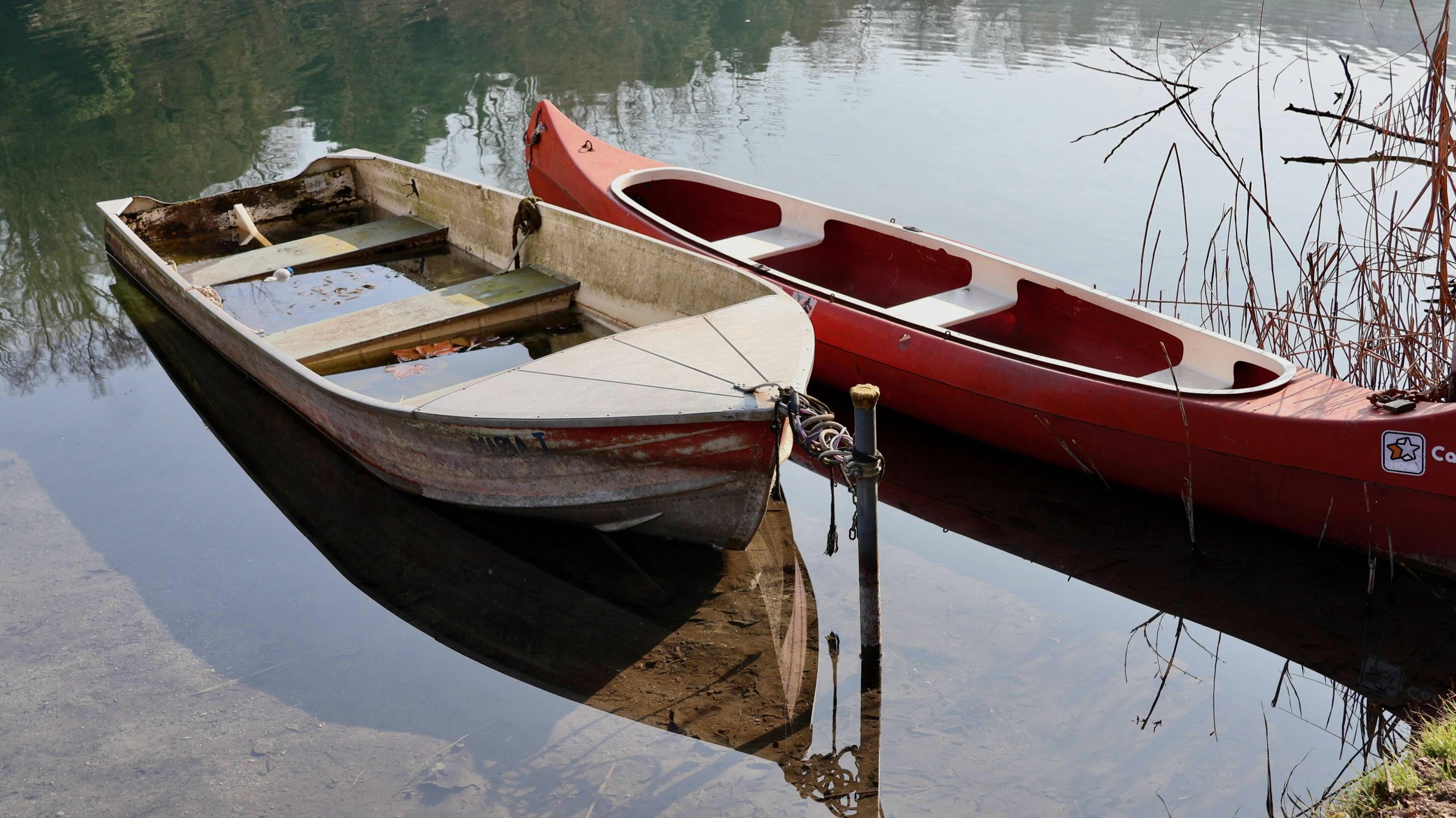 Mercoledì 15 aprile 2026