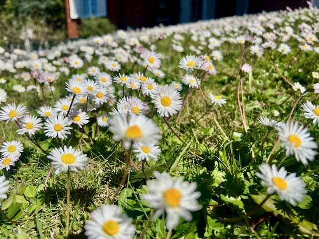 Mercoloedì 29 aprile 2026