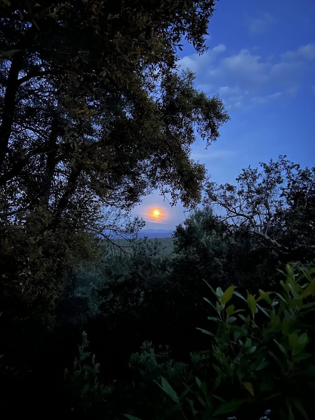 Martedì 9 giugno 2026