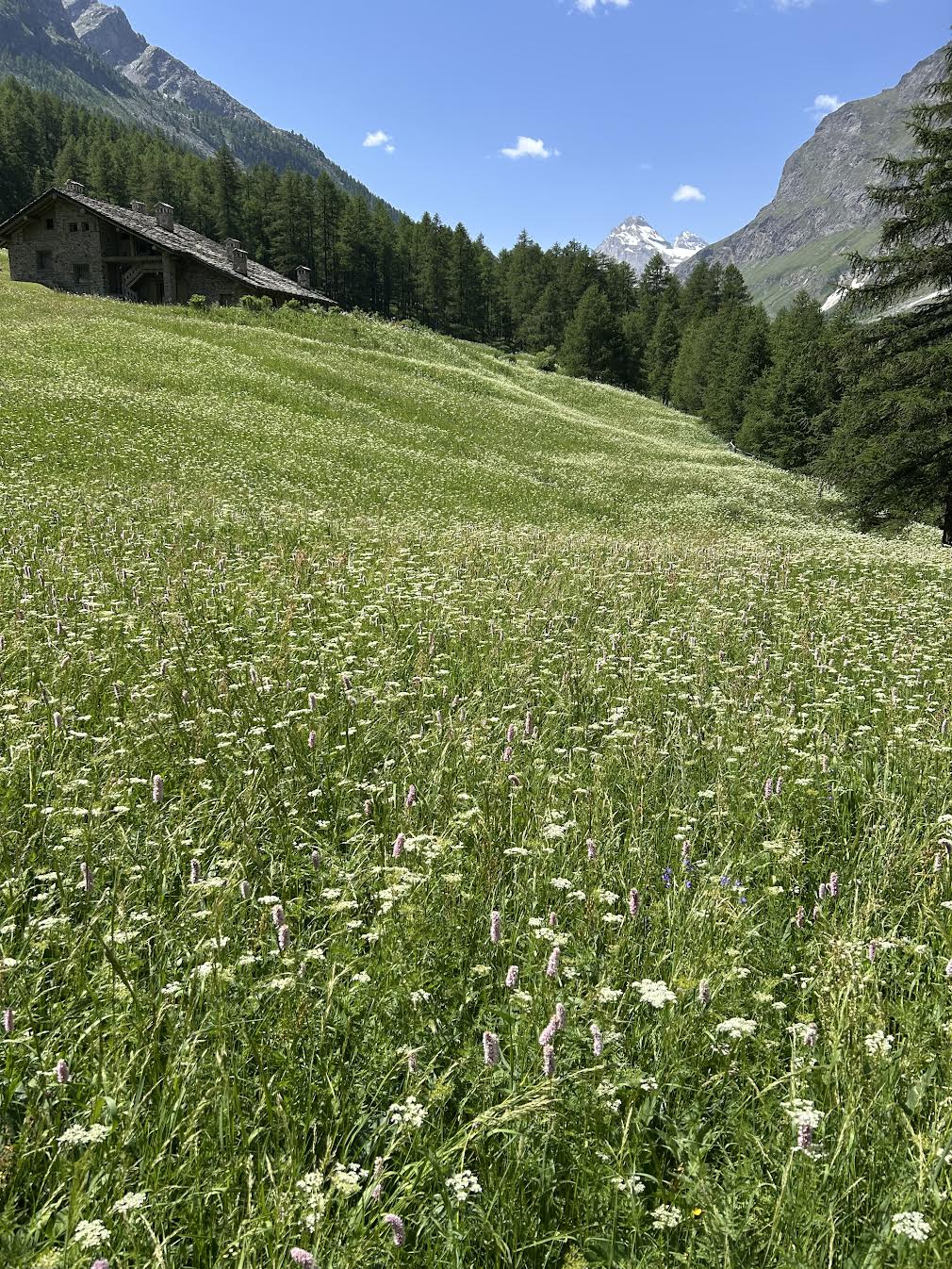 Martedì 23 giugno 2026